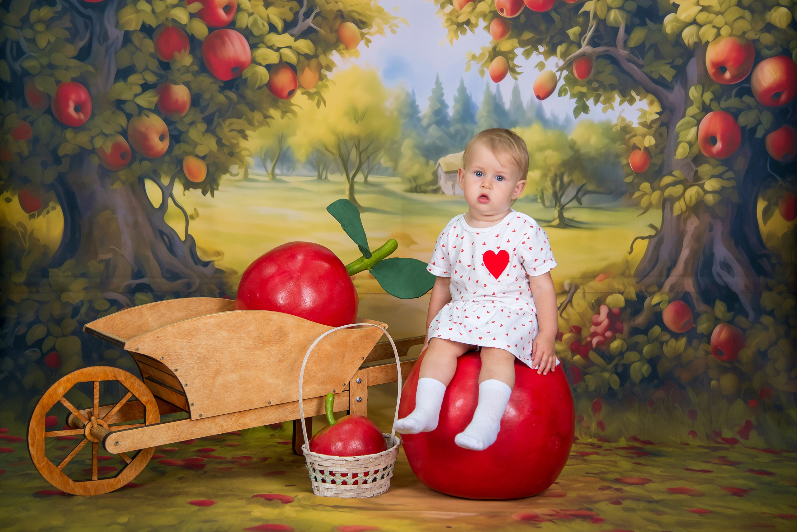 Яблоневый сад. Выпускные альбомы Ярославль