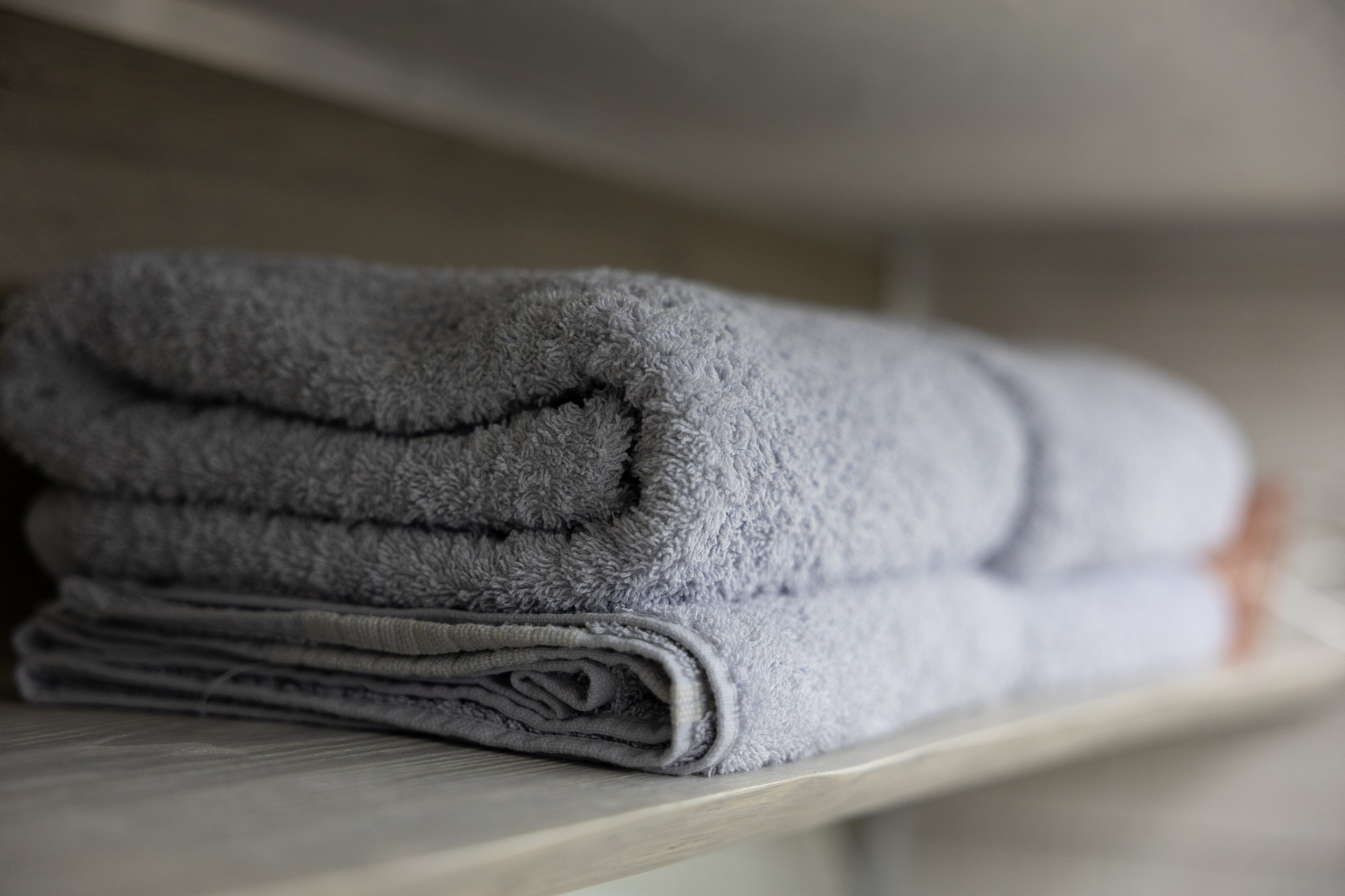 БЕРЕЗКА ВИЛАДЖ | Глэмпинг в Коломне | Юрта «Лесная». ФОТОГРАФ ИРИНА ШАМАТАВА