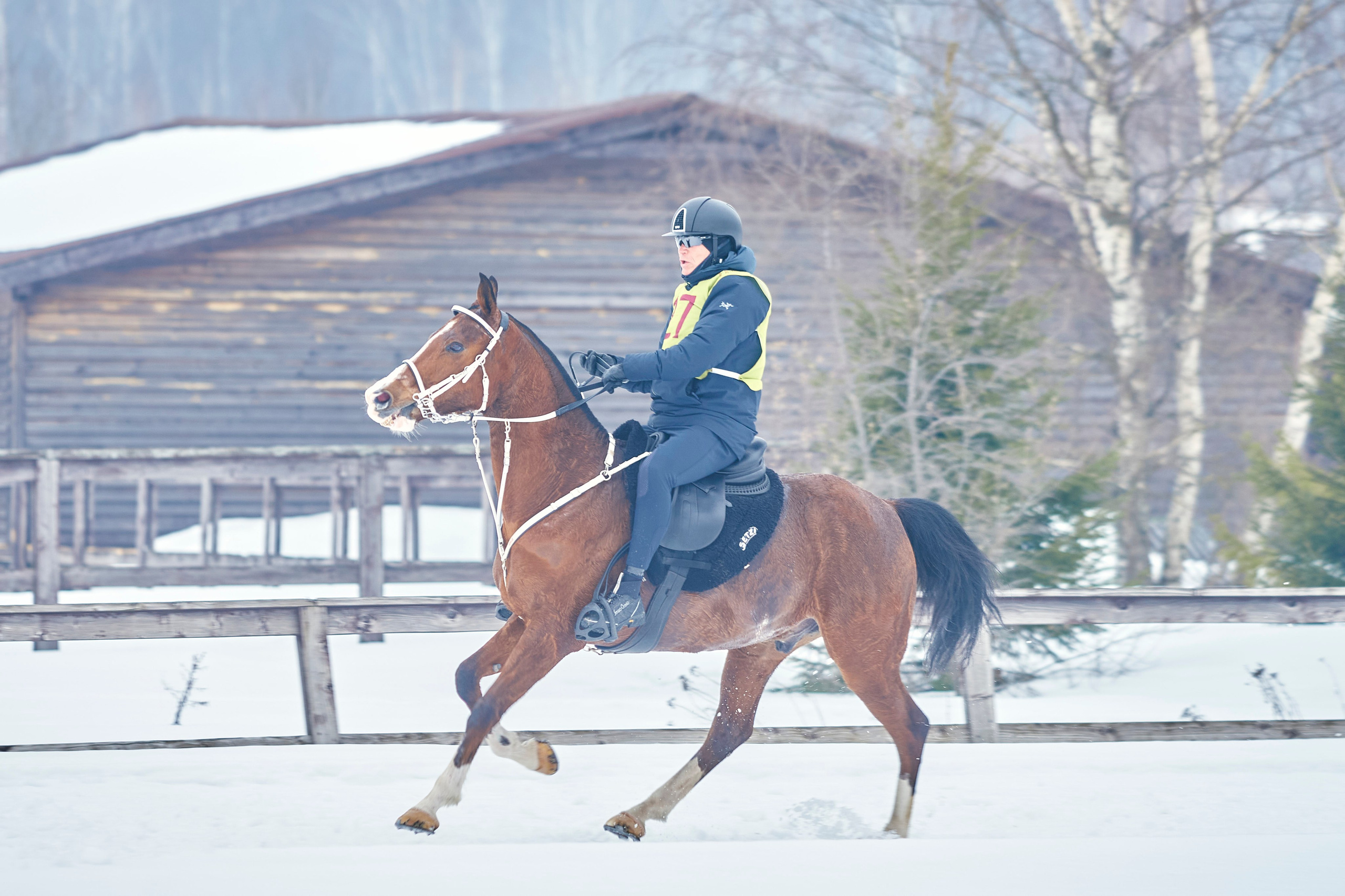 HORSE RACING. Фотограф Наталья Леонова