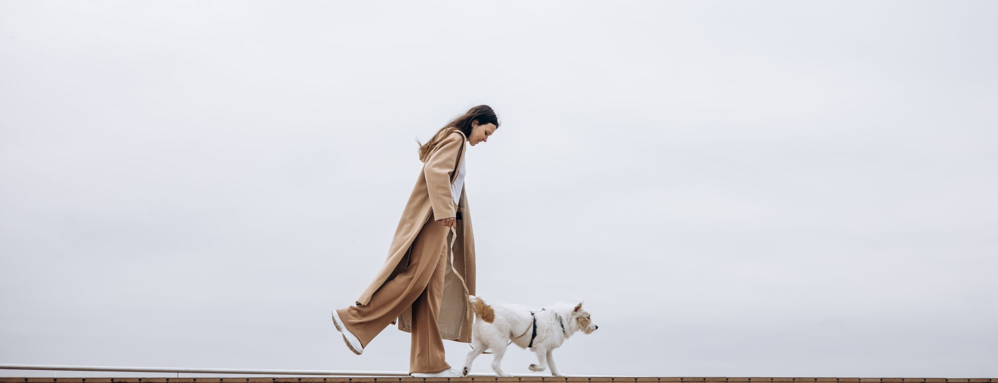 Фотограф животных Евгения Верцинская