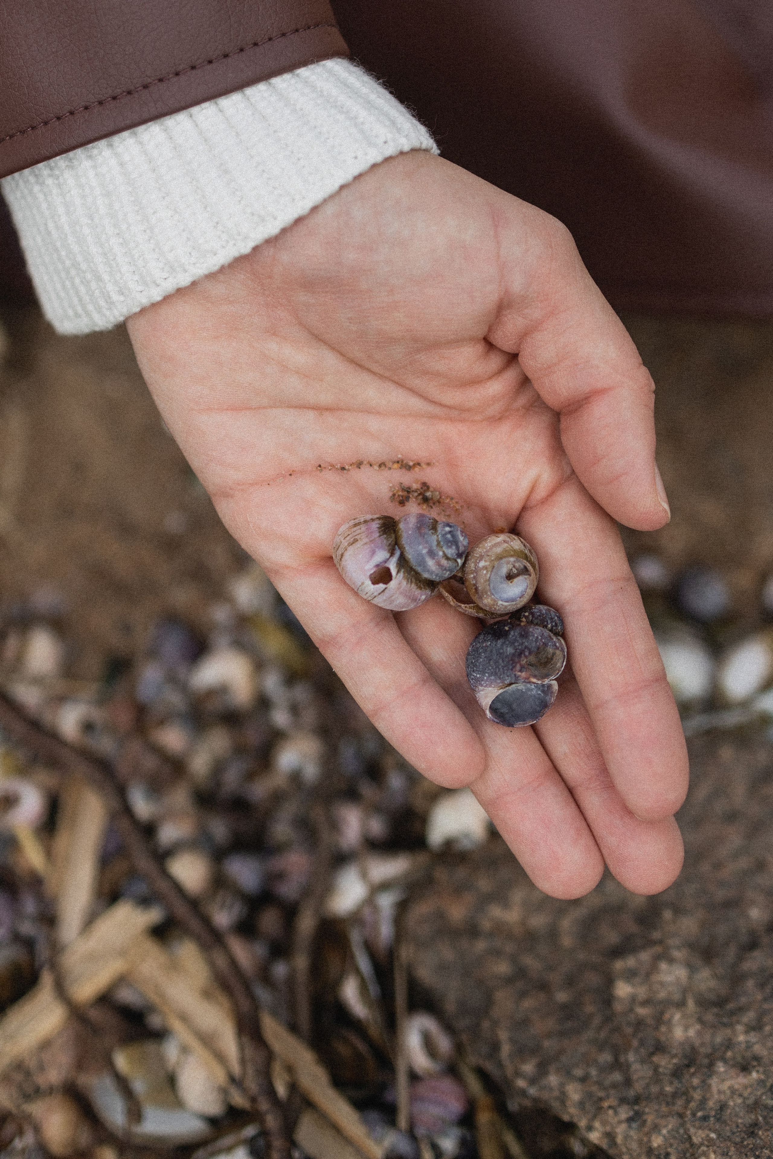 Эстетика П р о Я в л е н и я. Виноградова Маргарита. Фотограф P r o Явления