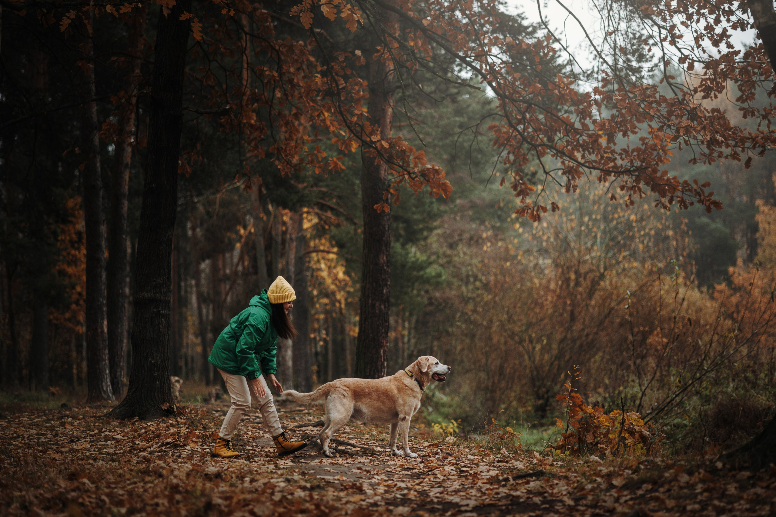Оксана и Барон. Фотограф — Анималист | Санкт-Петербург