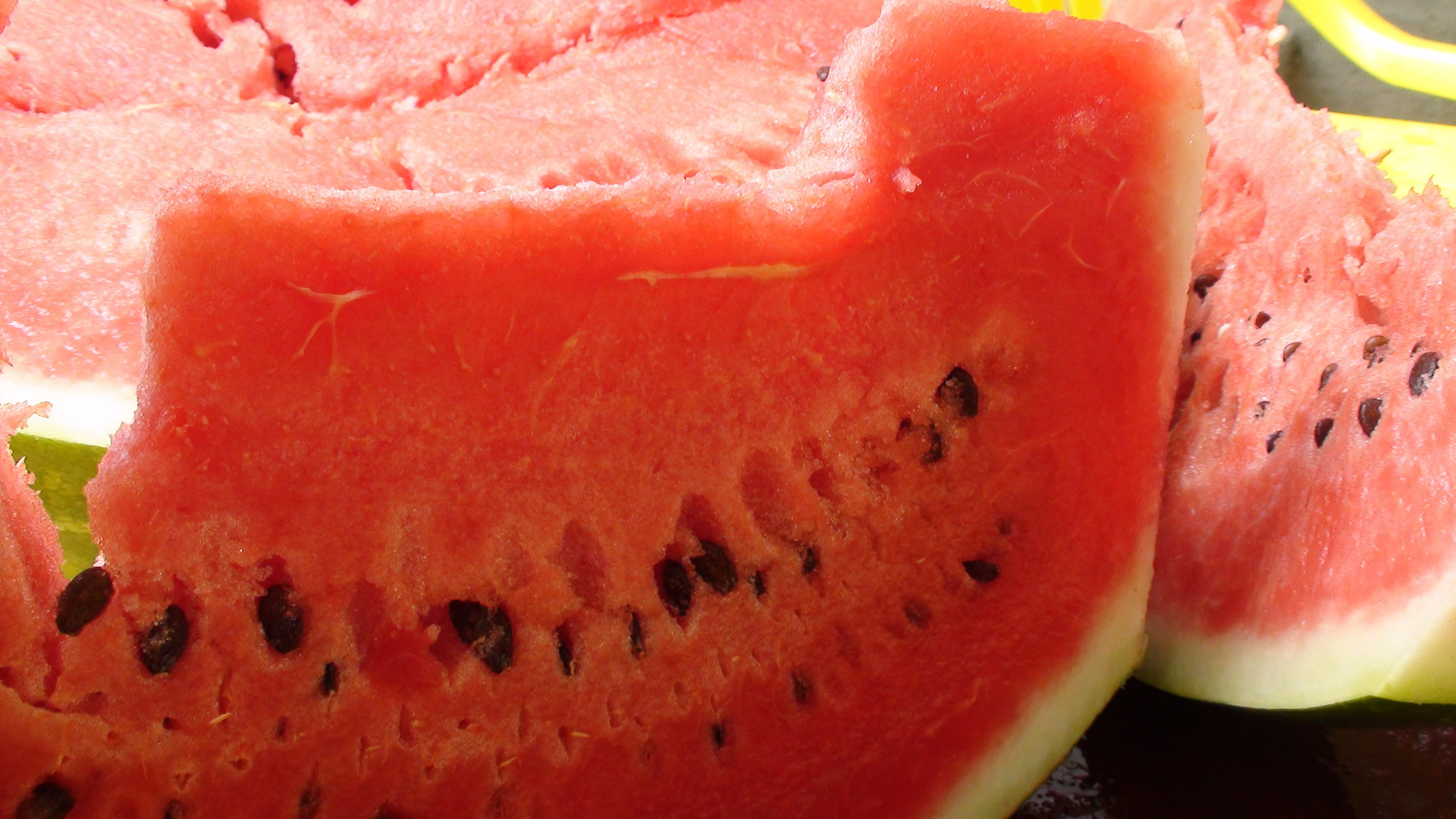 Отпуск 27.05-16.08. Семейный, Свадебный фотограф СПБ Питер— Романова Екатерина