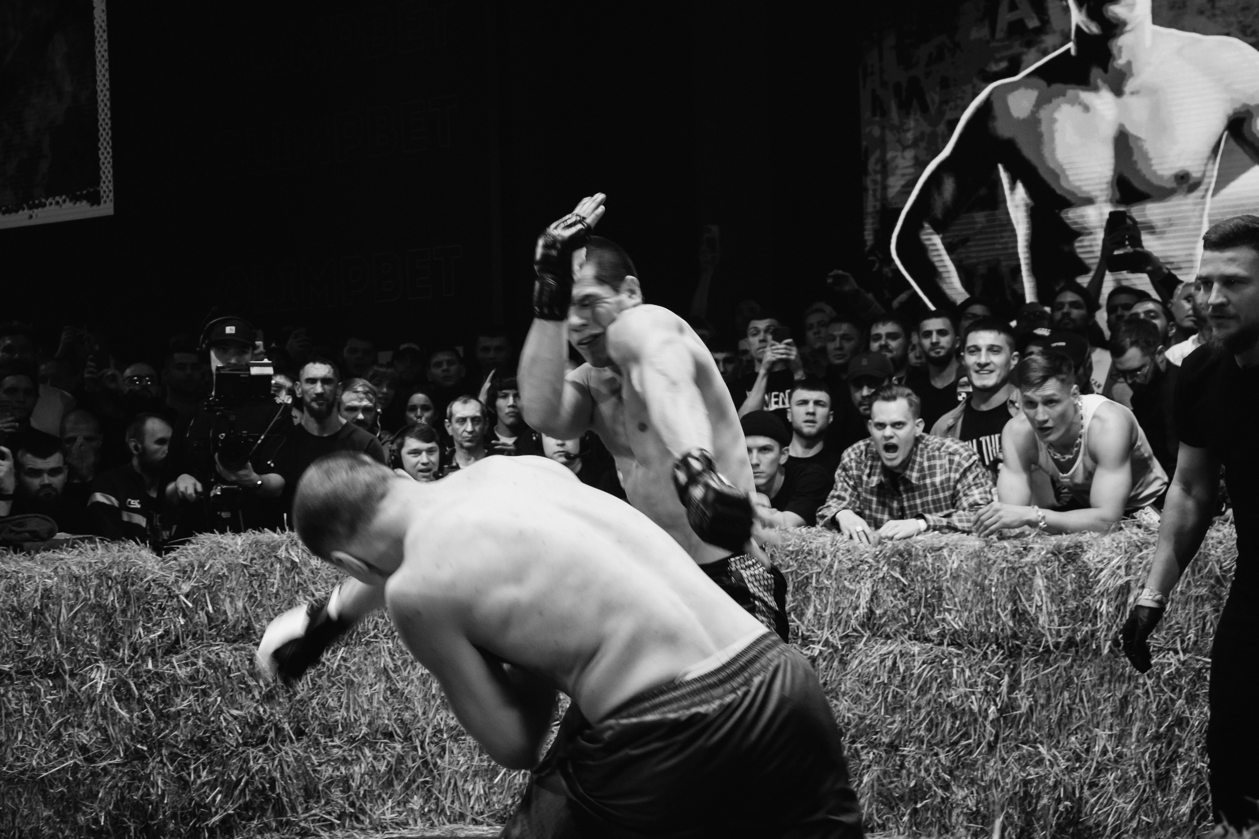 Кулачные бои TopDog. Анастасия Тен