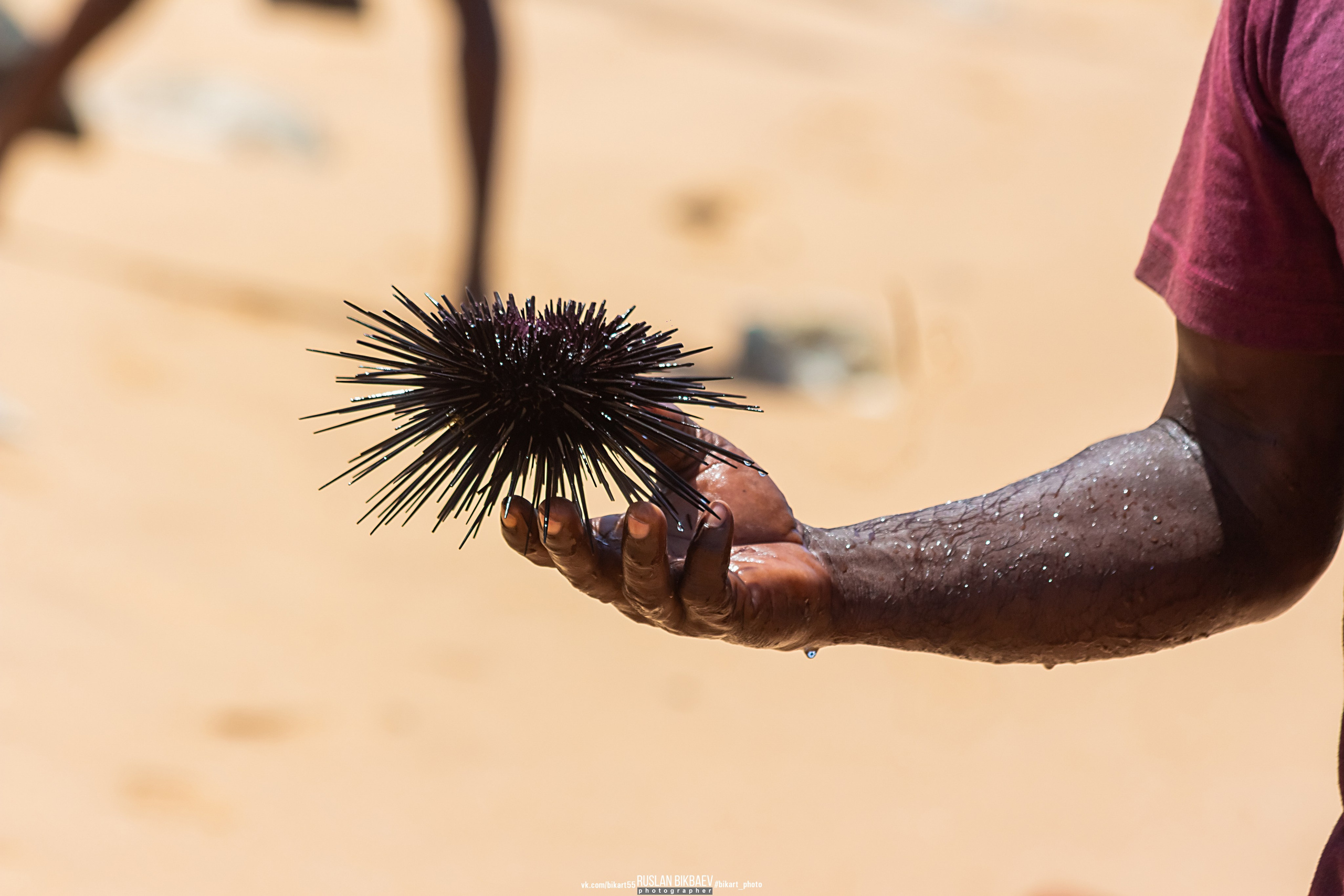 ШРИ-ЛАНКА 2025 / SRI LANKA 2025. Главная