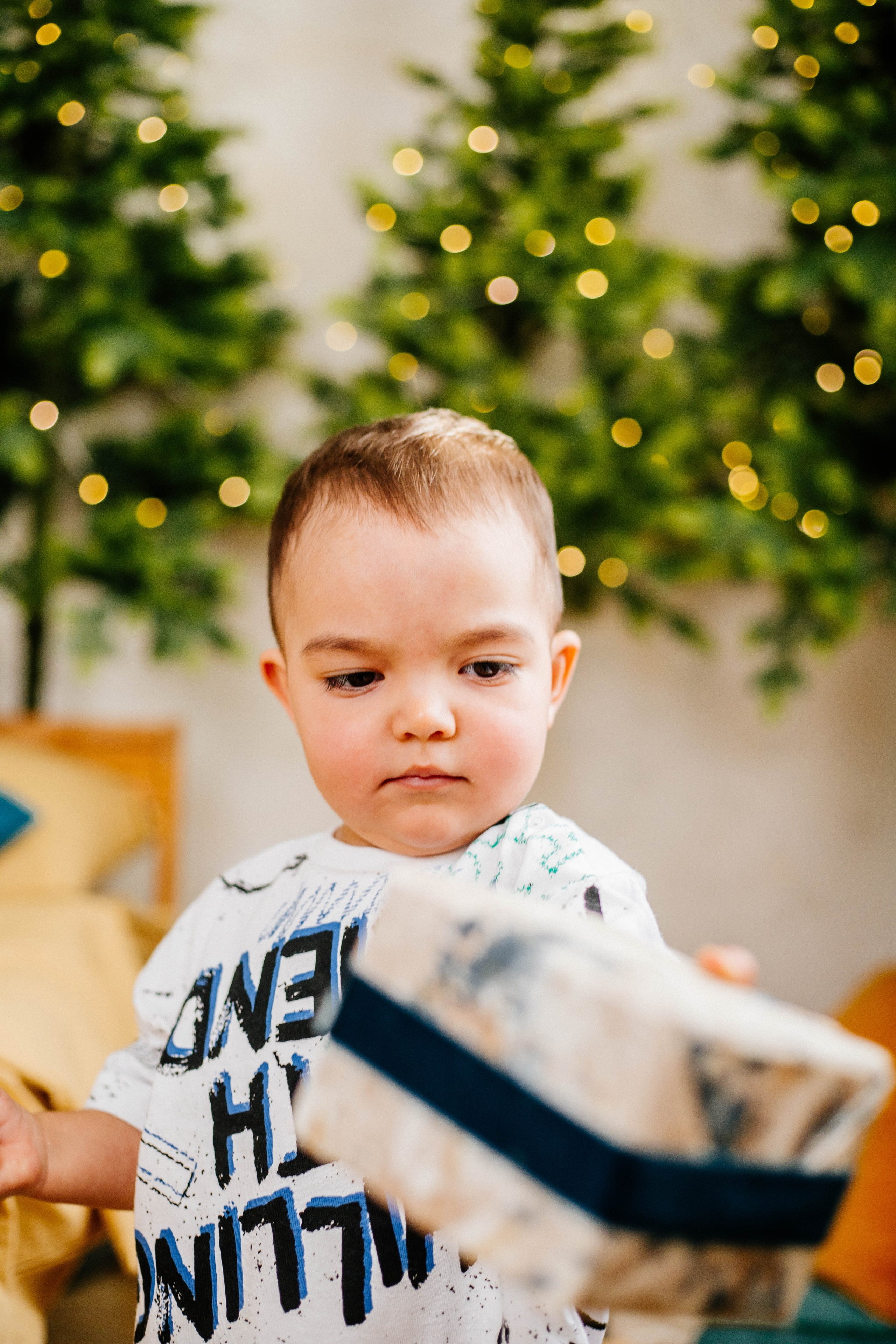 Лев с семьей. Рыжова Тамара