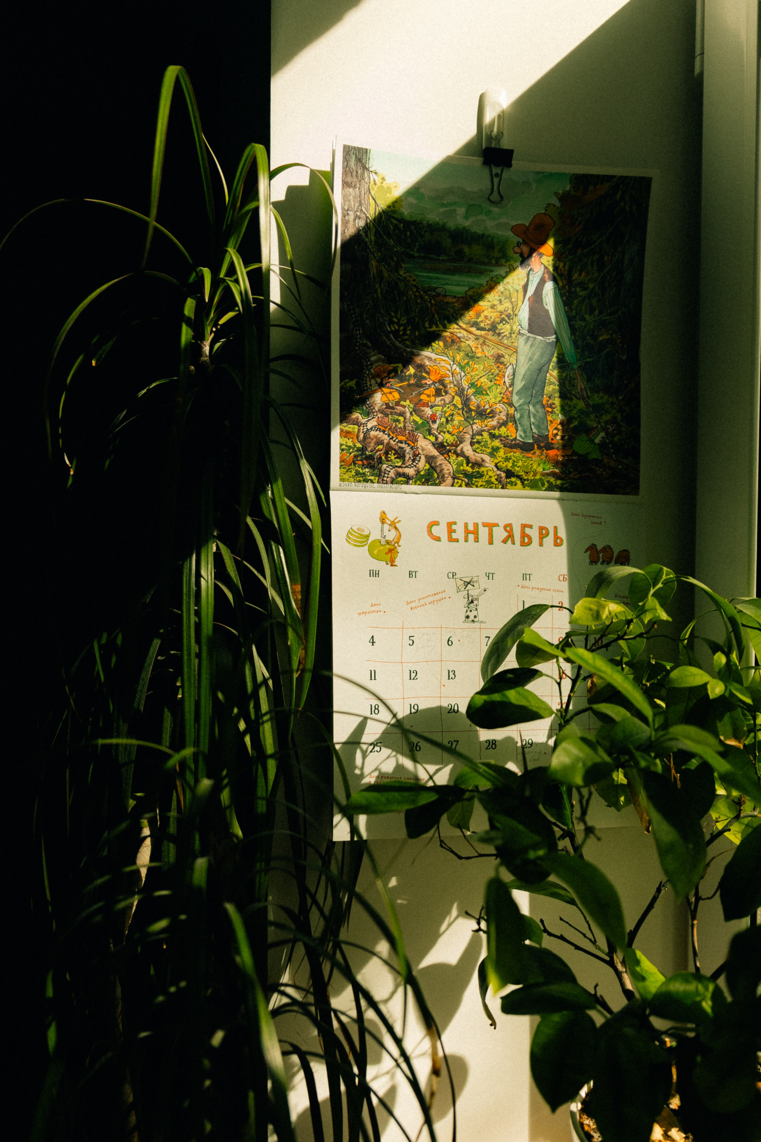 Саша Сережа и Лёня. Фотограф в Москве и МО Влада Обласова