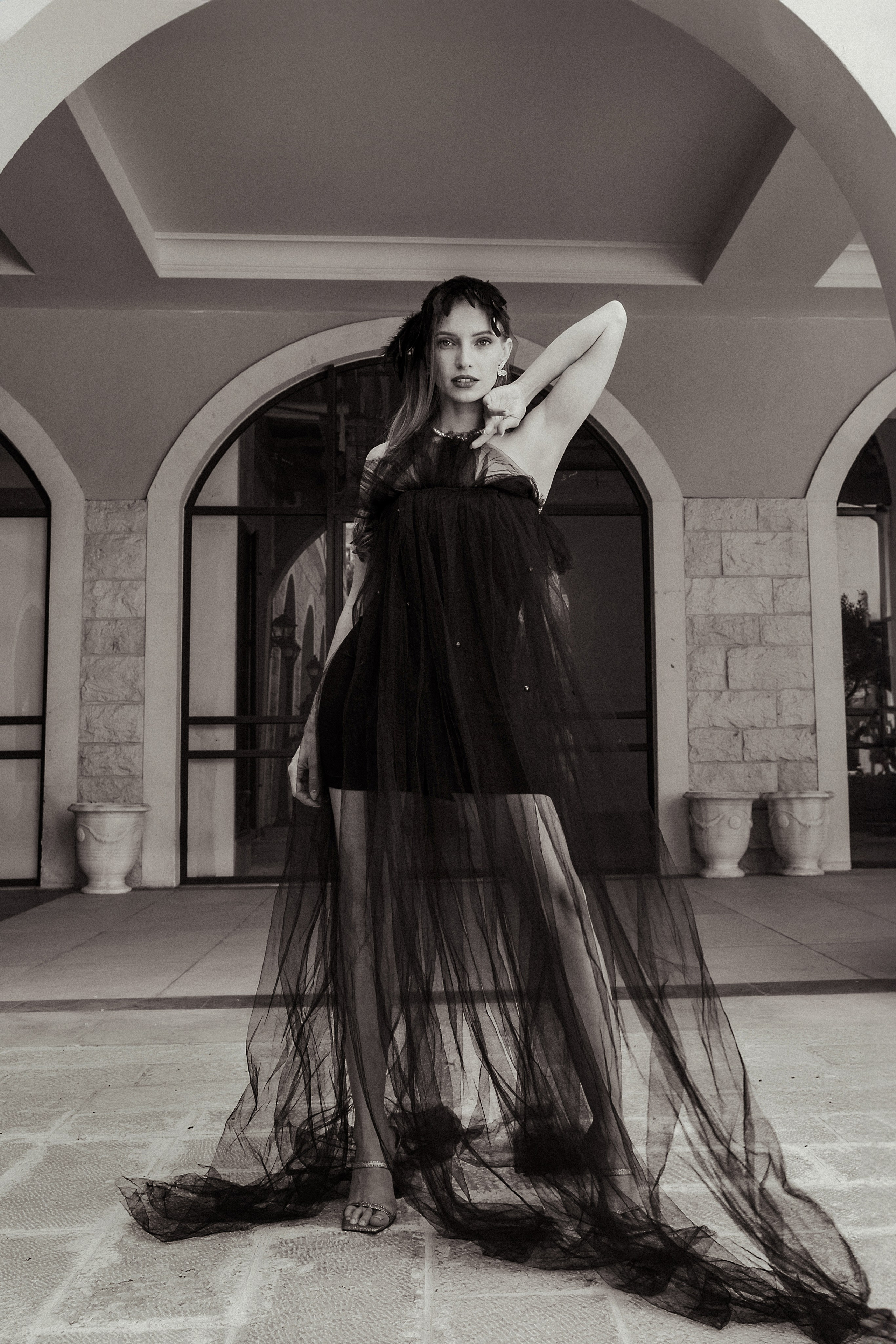 Черный лебедь. Фотограф Тимофеева Любовь