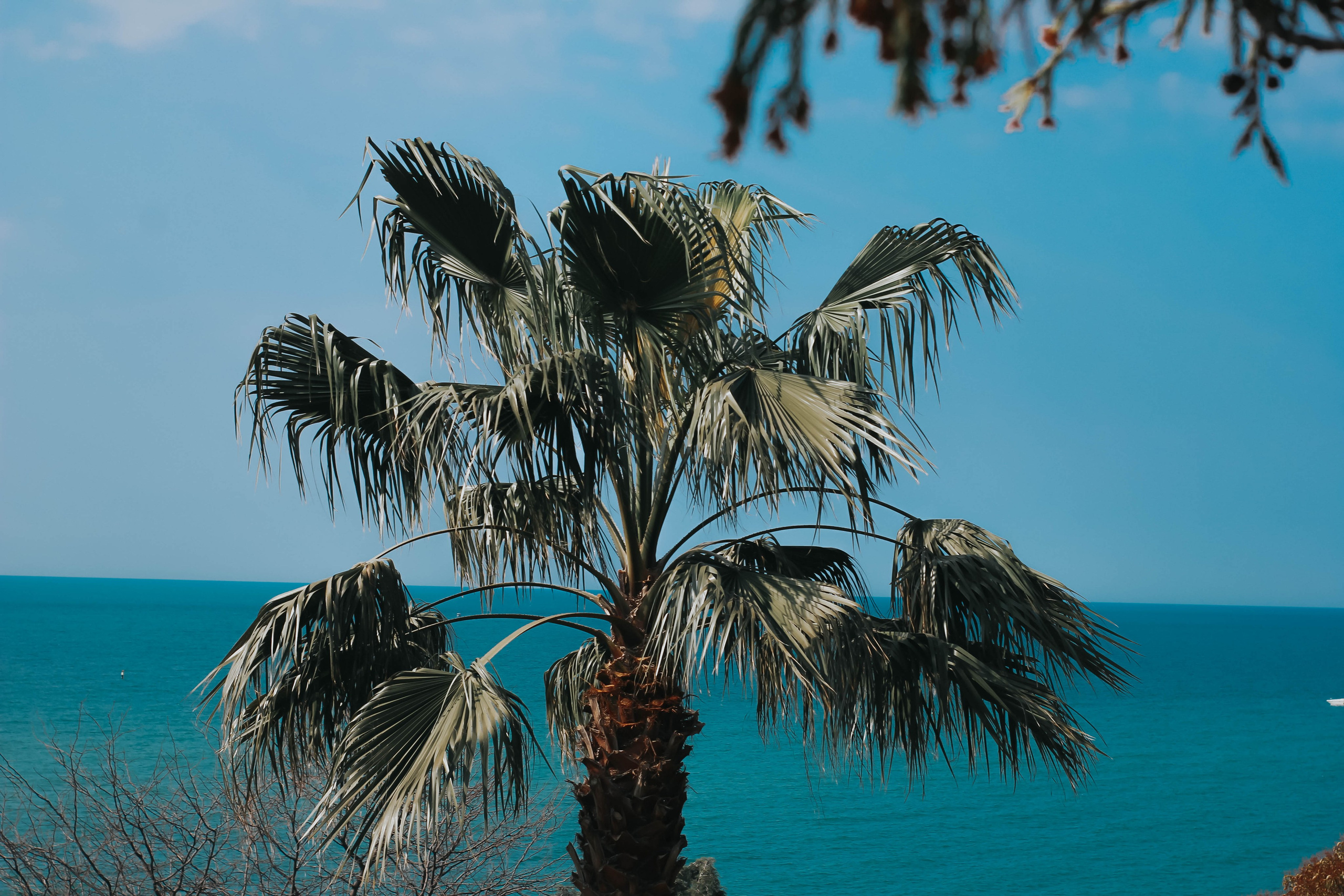 ЛЮБОВЬ ЛЮБОВНАЯ| ПРОФЕССИОНАЛЬНЫЙ ФОТОГРАФ