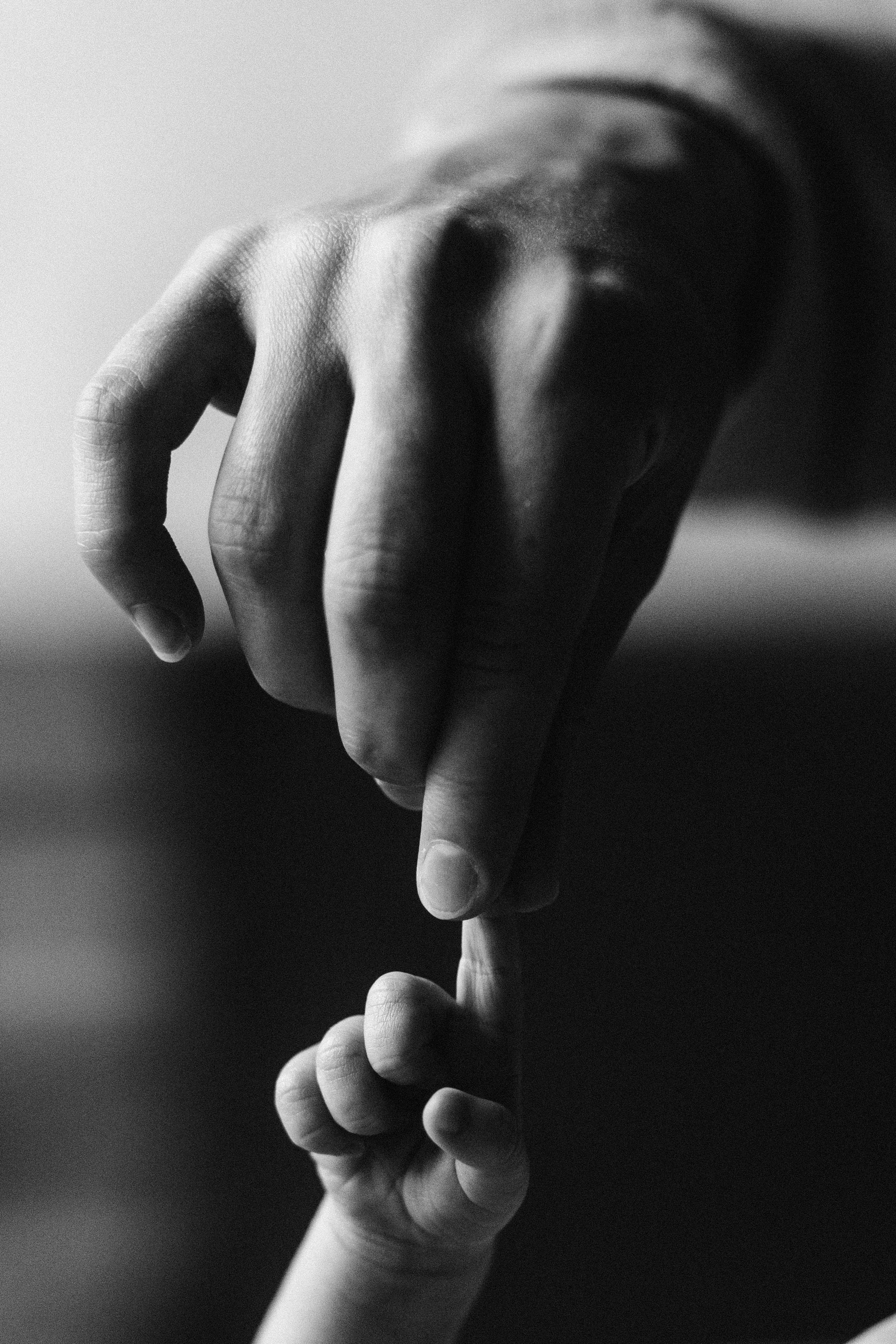 Нью борн домашняя. Семейный фотограф в Волгодонске Краченцева Анна