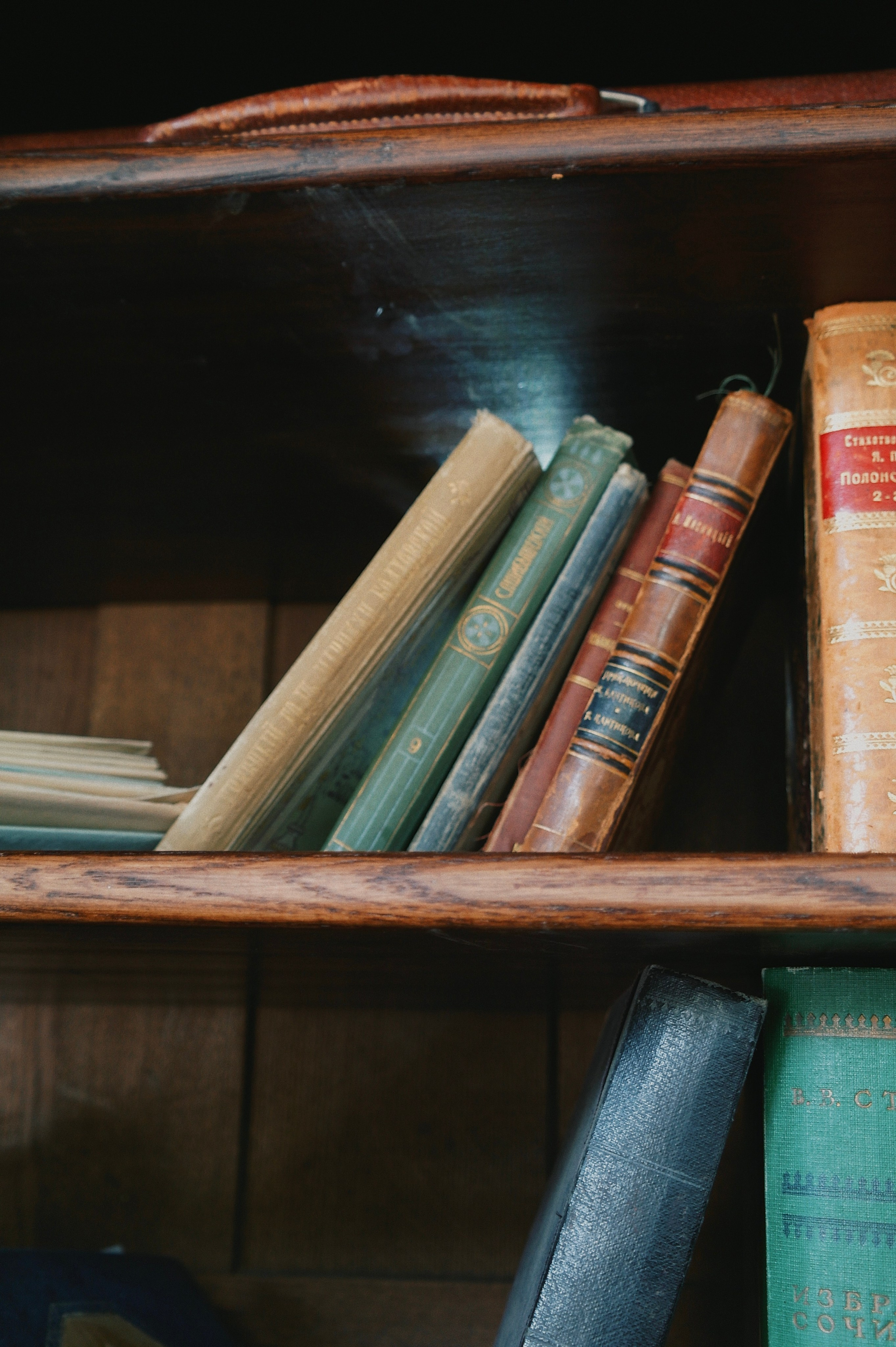 Переделкино. Татьян гертье