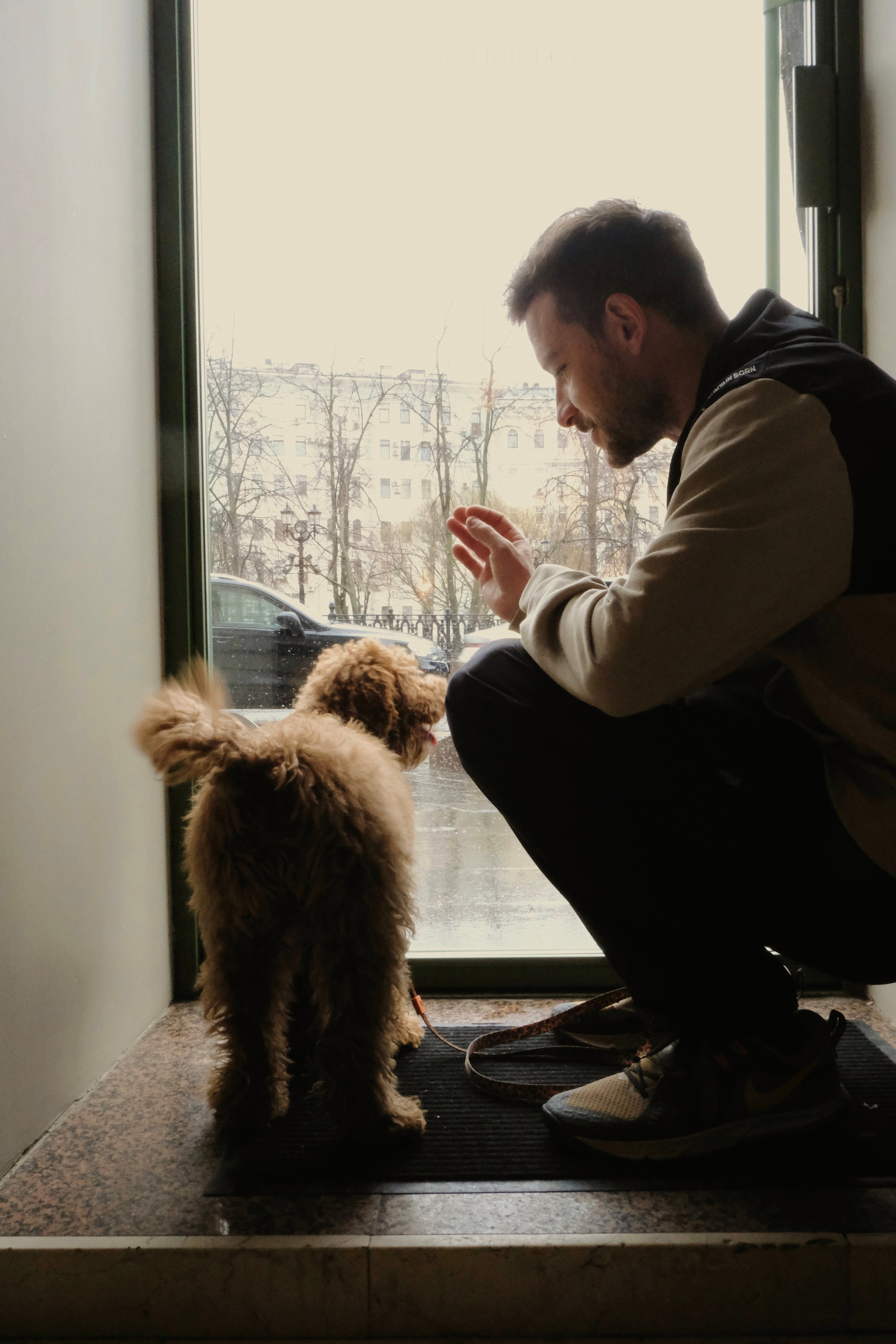 Питомцы. Татьян гертье