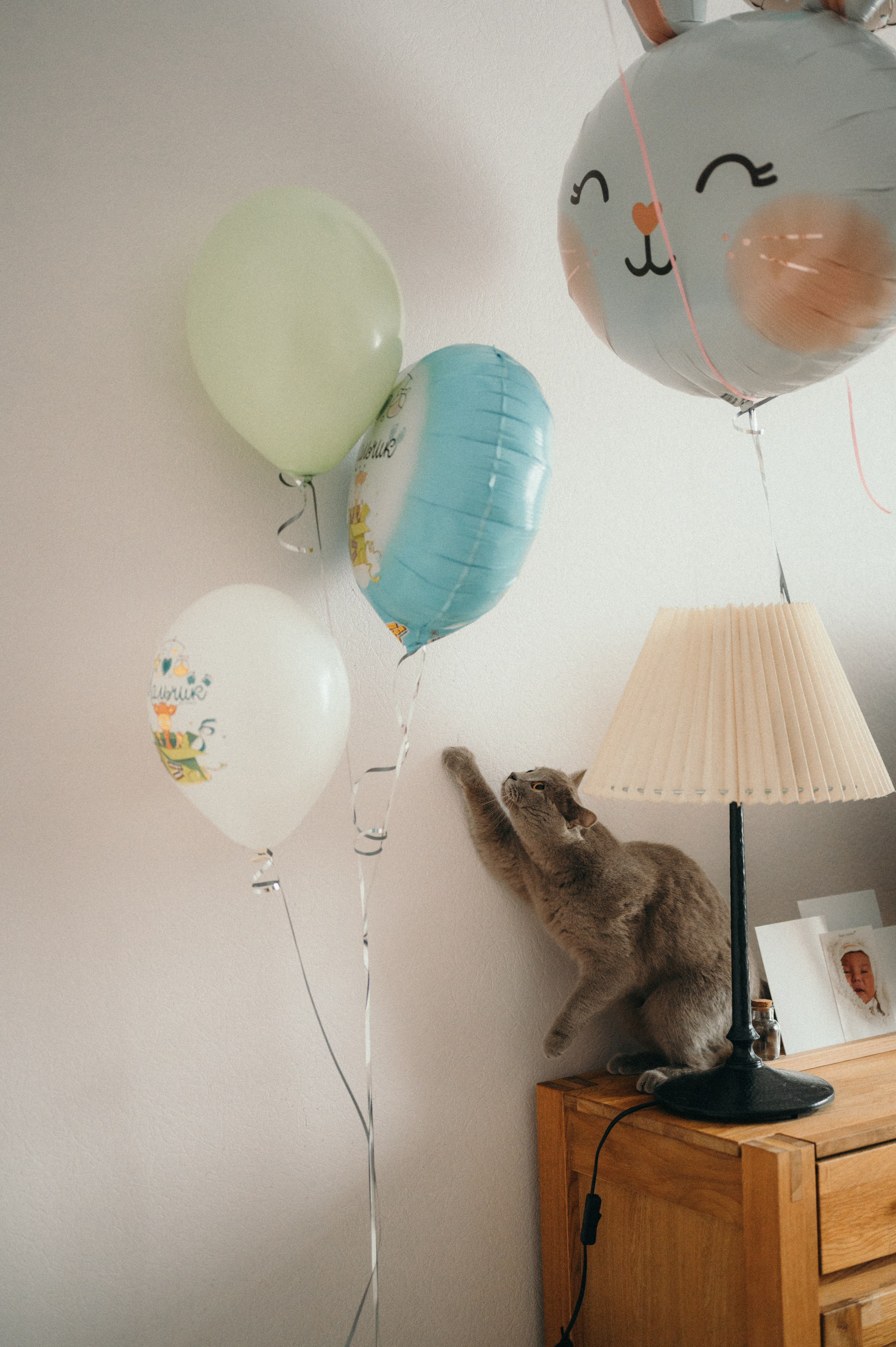 Женечка. Фотограф новорожденных и беременых в санкт-петербурге Юля Лампа