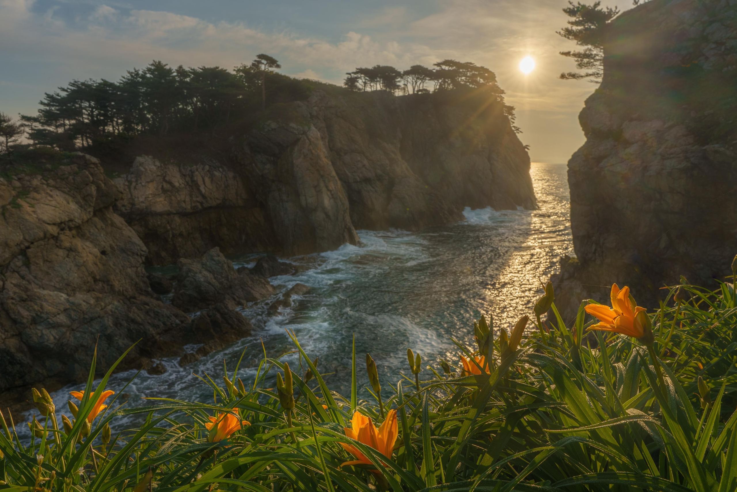 Весеннее Приморье. Май