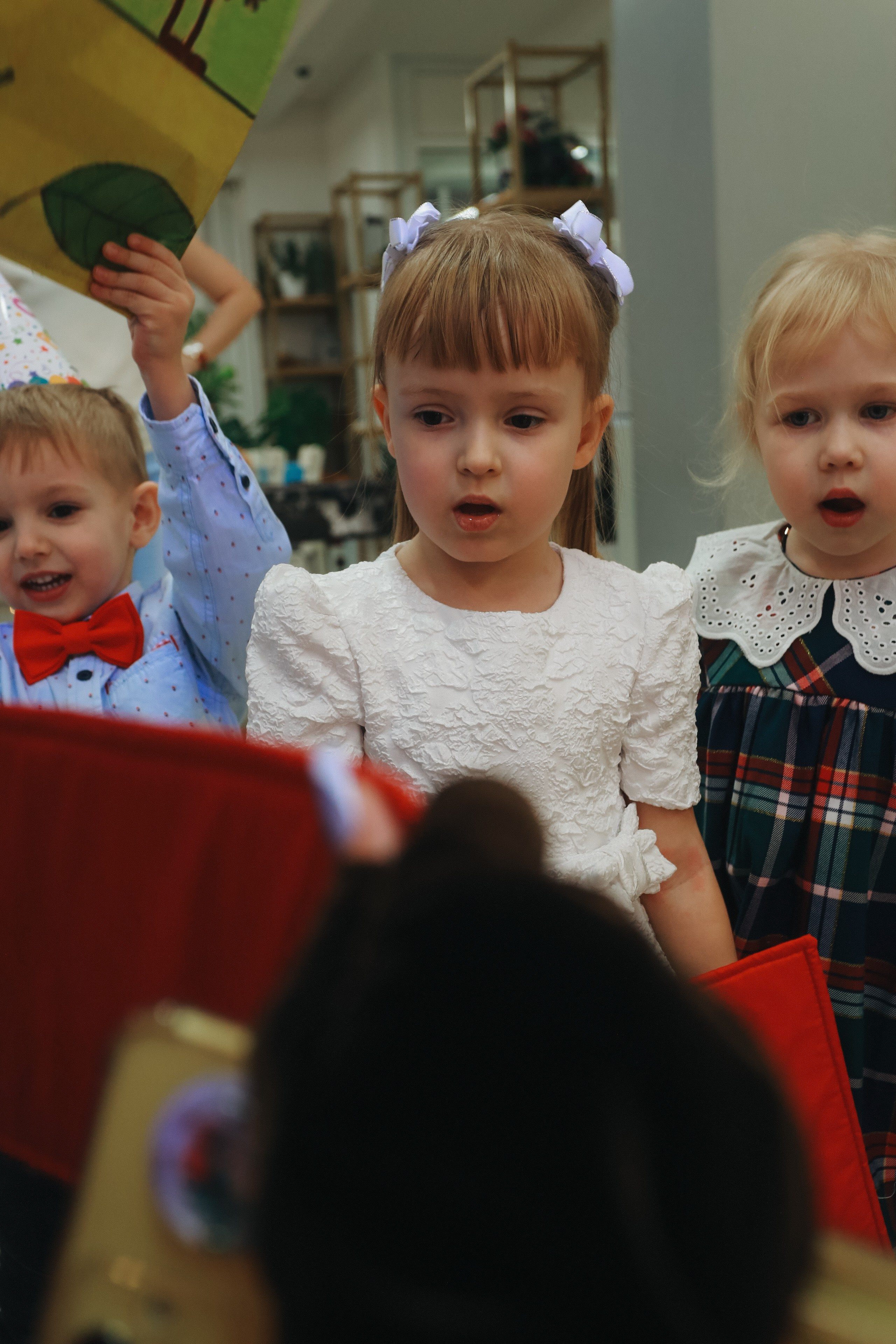 День рождения Братья Гримм. Детский фотограф, Волгоград