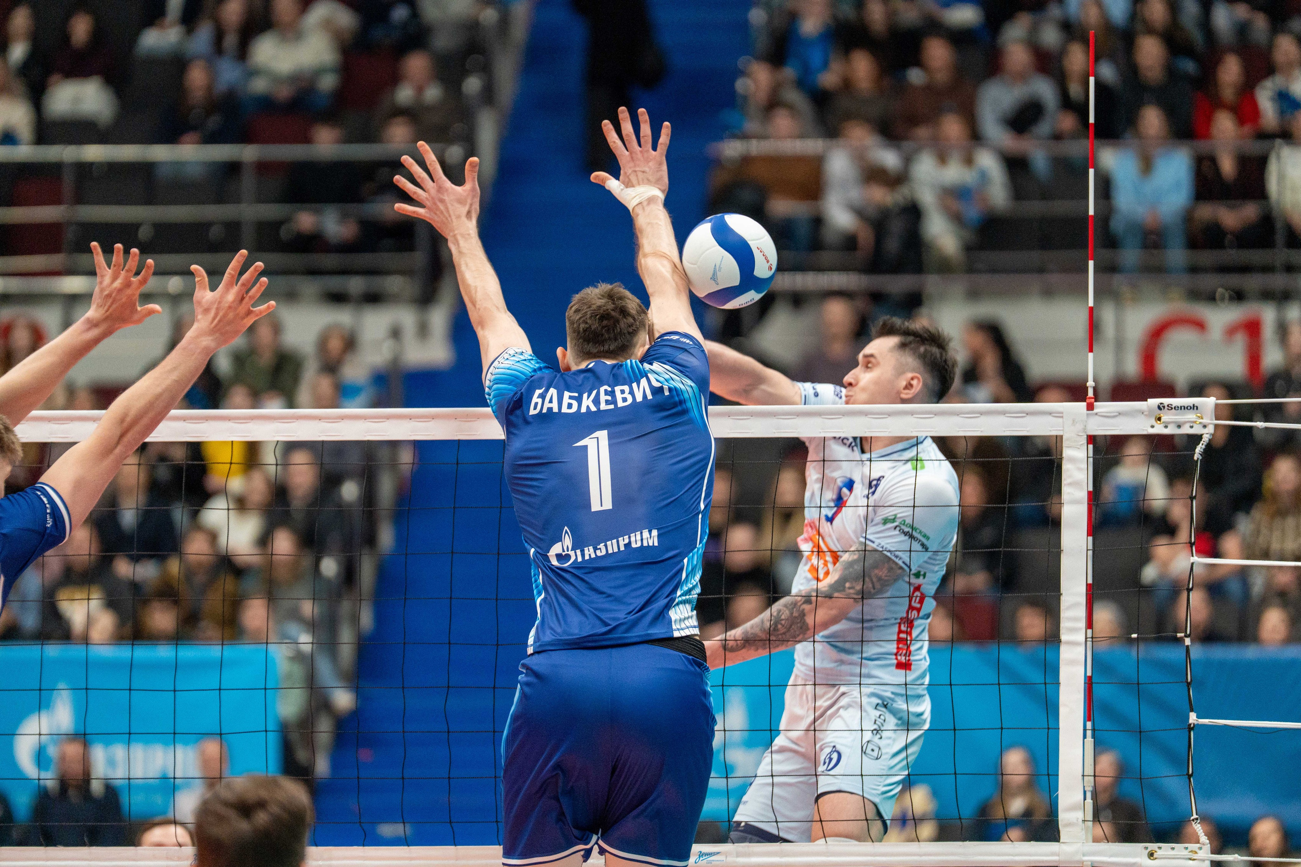 Zenit Saint Petersburg vs Dynamo Moscow — men’s Superliga photo gallery | Anton Gauf. Sports Photographer in Saint Petersburg | Anton Hauff