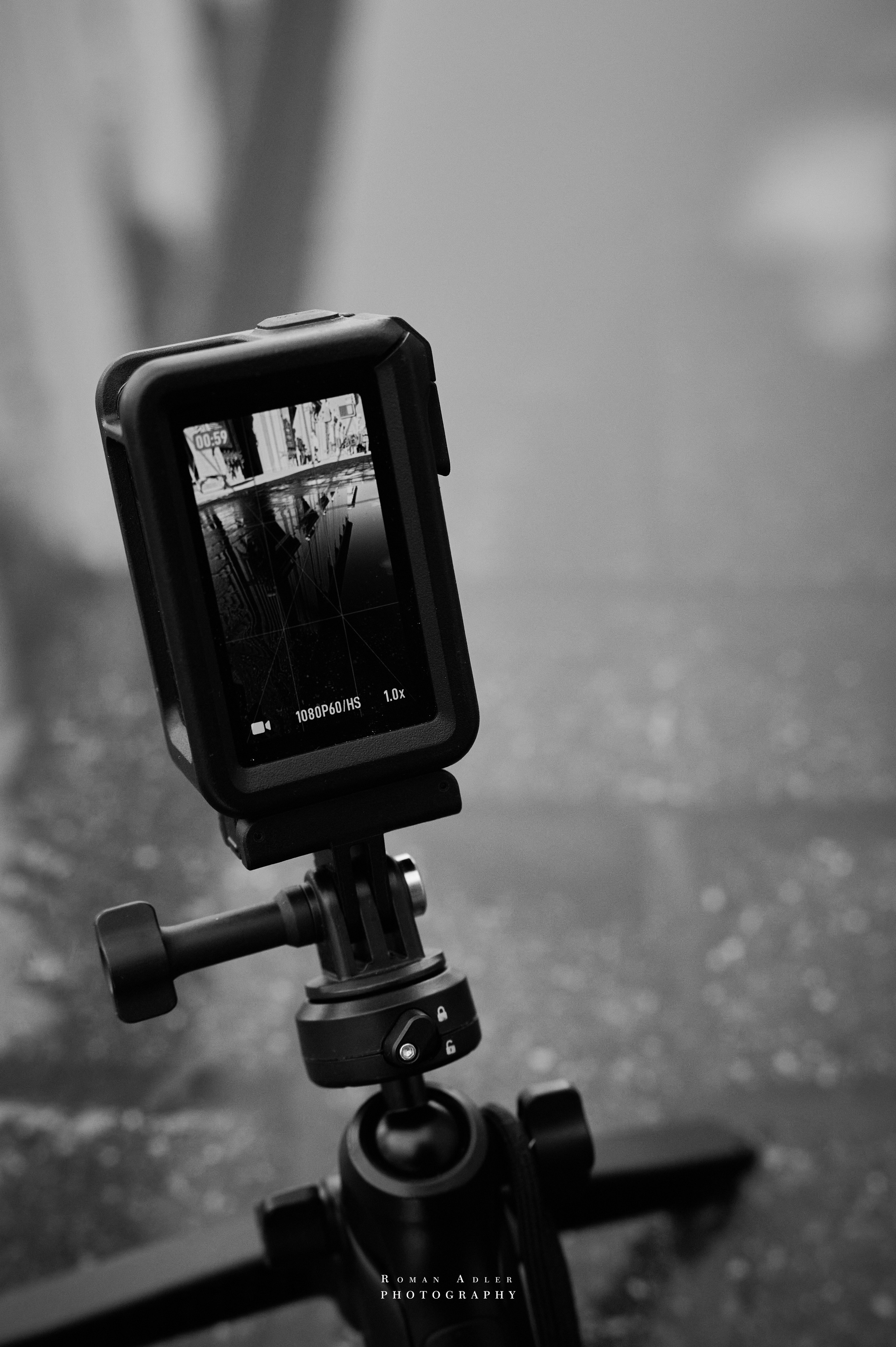 Carpe Diem 2026. Весна. Фотограф Роман Адлер