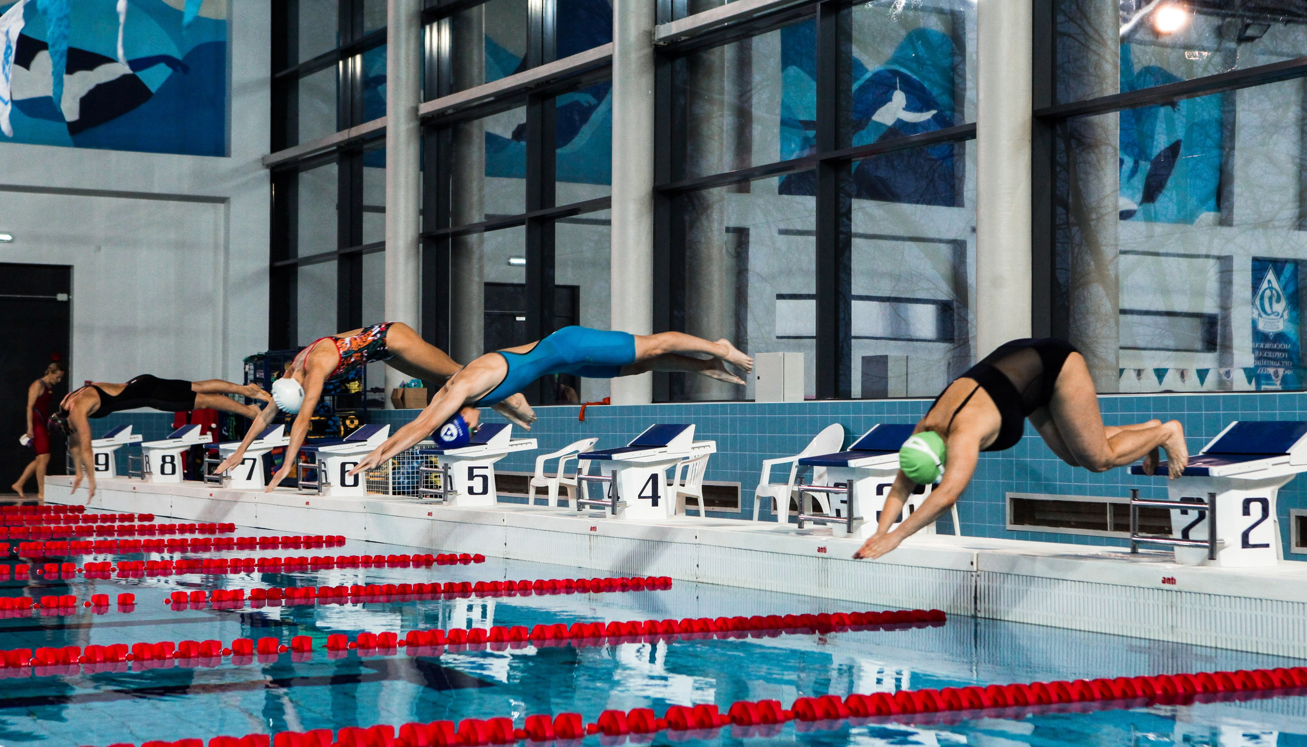 Соревнования по плаванию. Репортажный, семейный, свадебный, портретный фотограф
