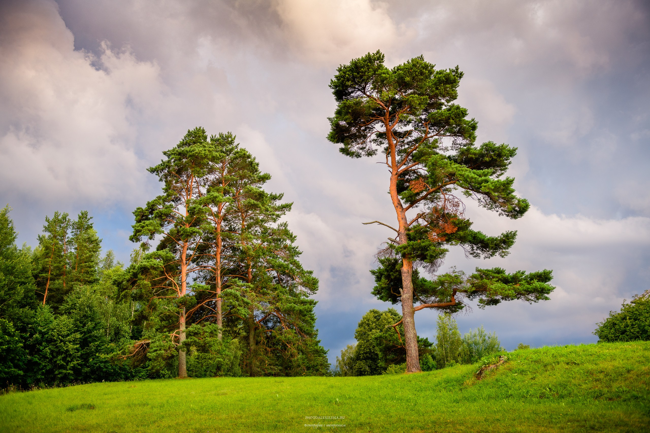 Пейзажная фотография. Авторские стильные фотокартины