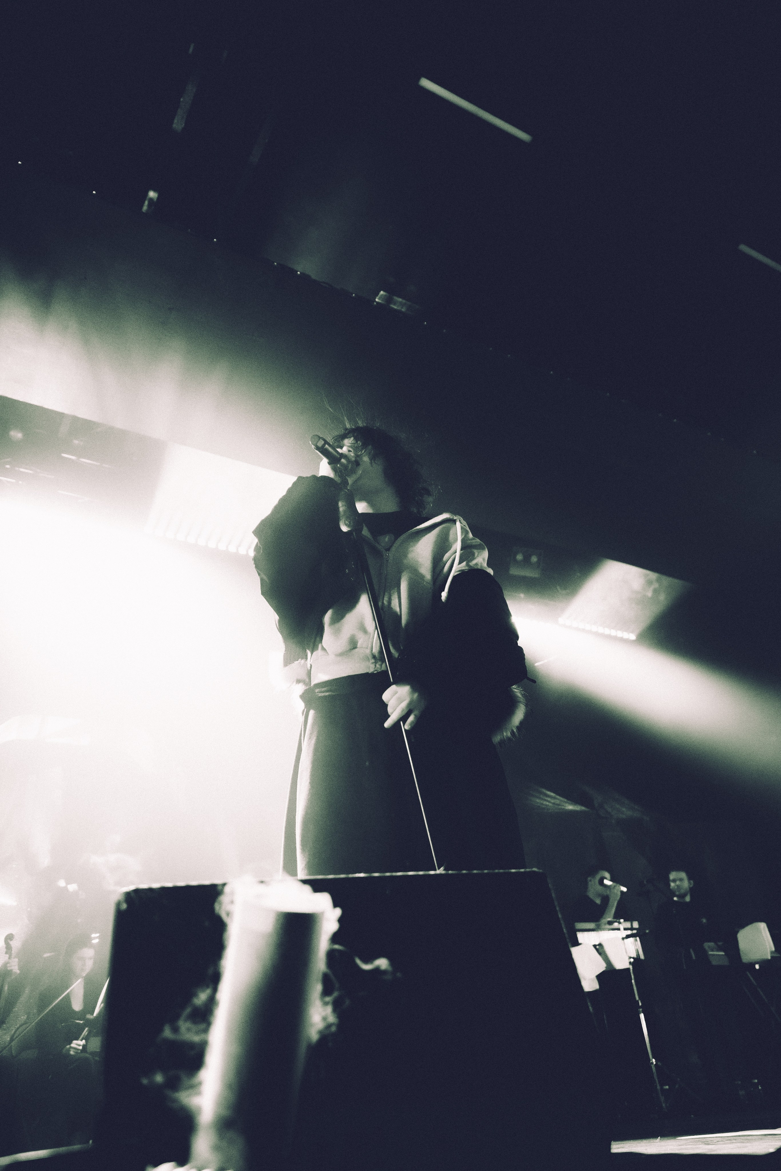 SALUKI. PASHAHARCE PHOTOGRAPHER & VIDEOGRAPHER