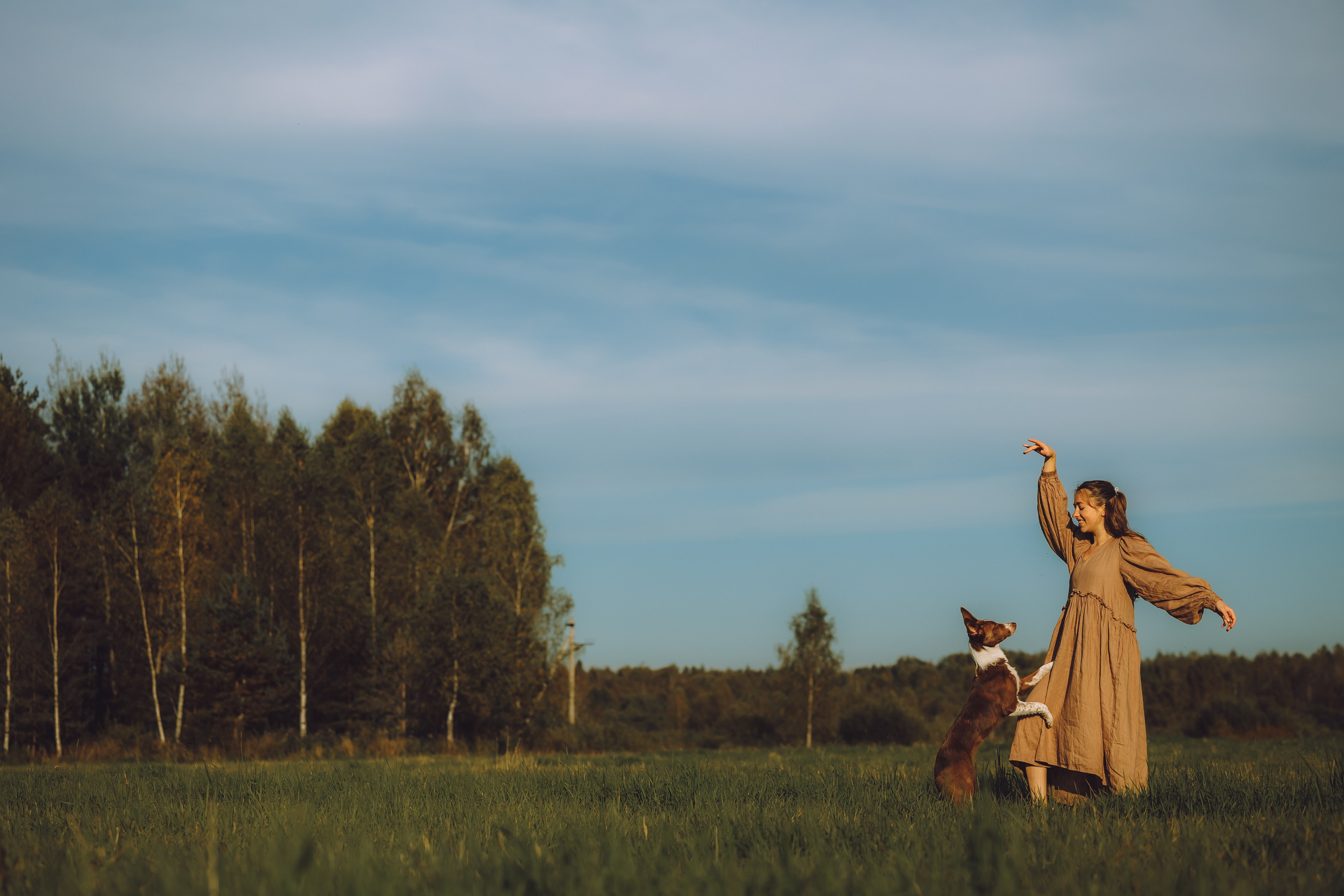 Выездной дог-тренинг от школы «Шерсть имею», Тованово