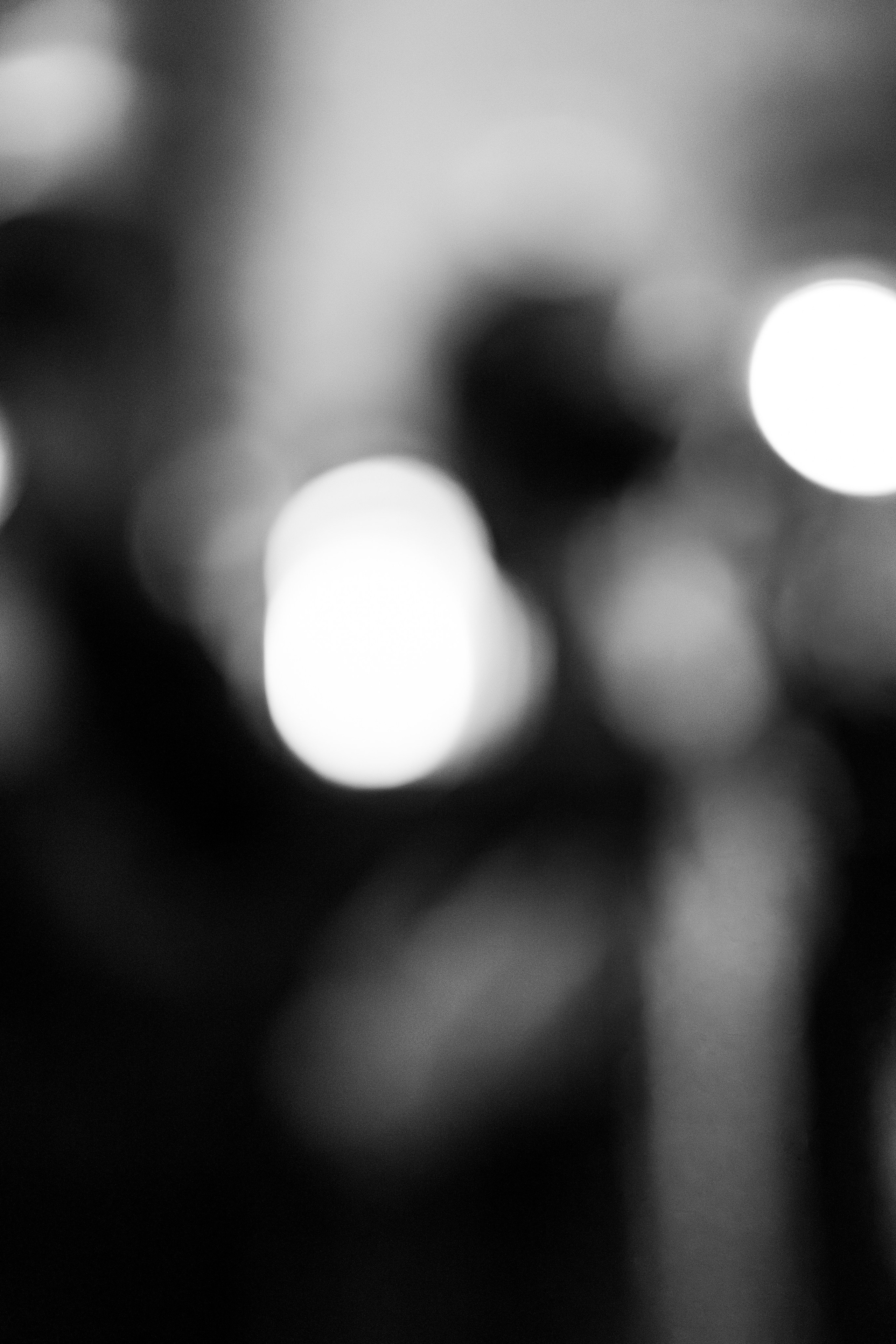 Gastrodvor Итальянский гастро ужин с Zago Mirko. Дженбаз Павел — фотограф в Ялте