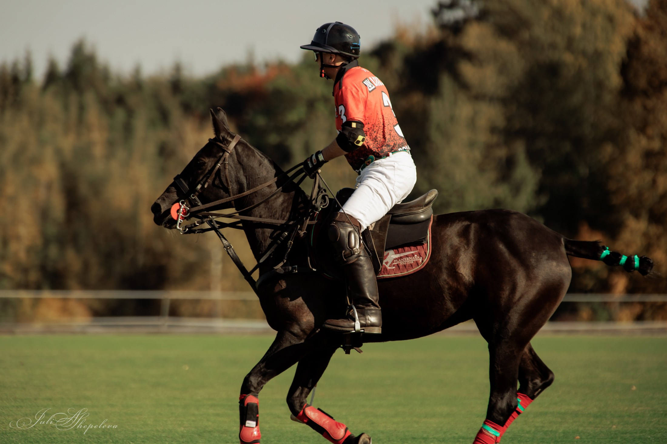 Осенний кубок по конному поло. Детская Конная фотография в Москве Юлия Шепелева