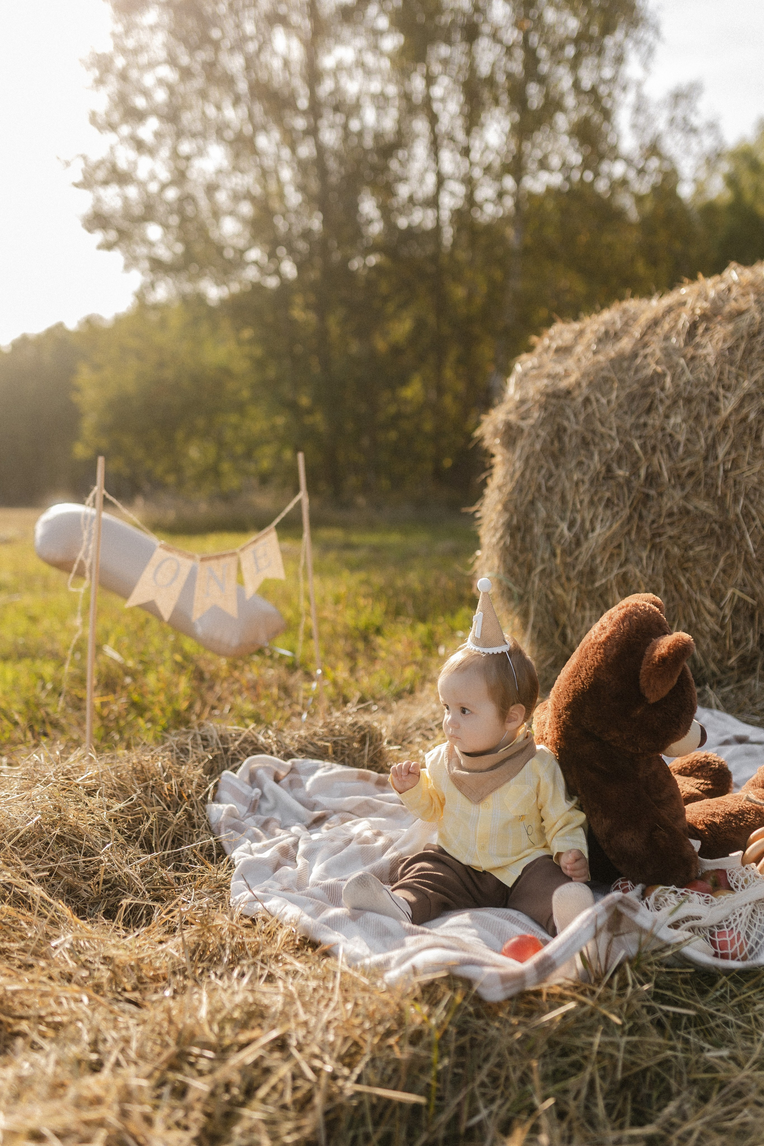 Годовасик. Семейный фотограф в Нижнем Новгороде Доронина Юлия