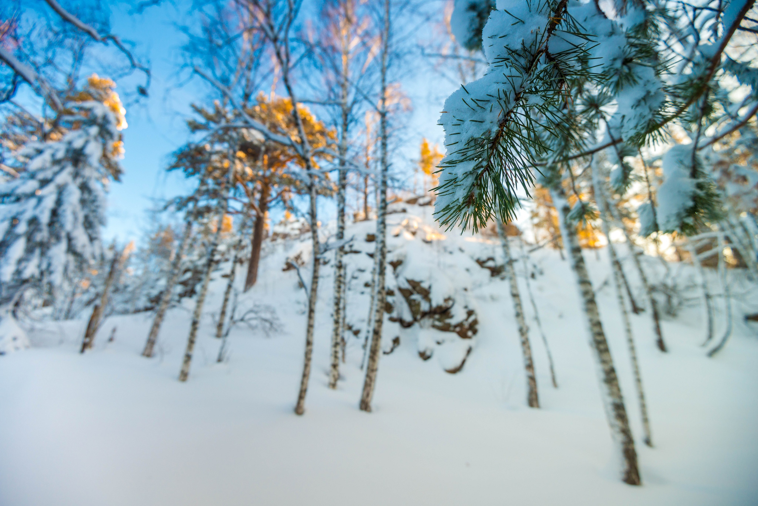 Таганай Семибратка, Парк Бажова, ледяной фонтан 06.01.2024. Свадебный фотограф на Урале Виктор Соколов