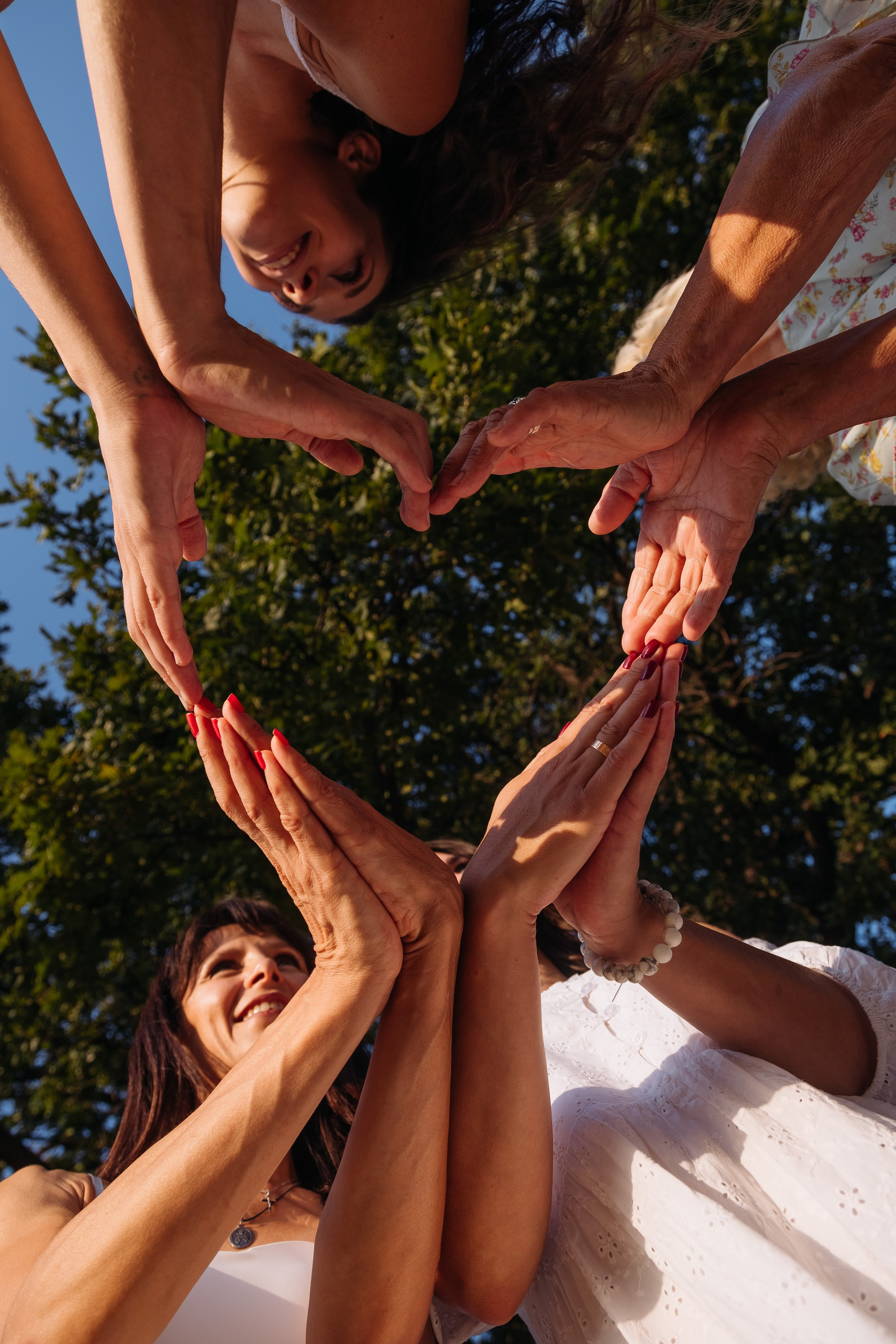 Д р е в о. Romashka photo