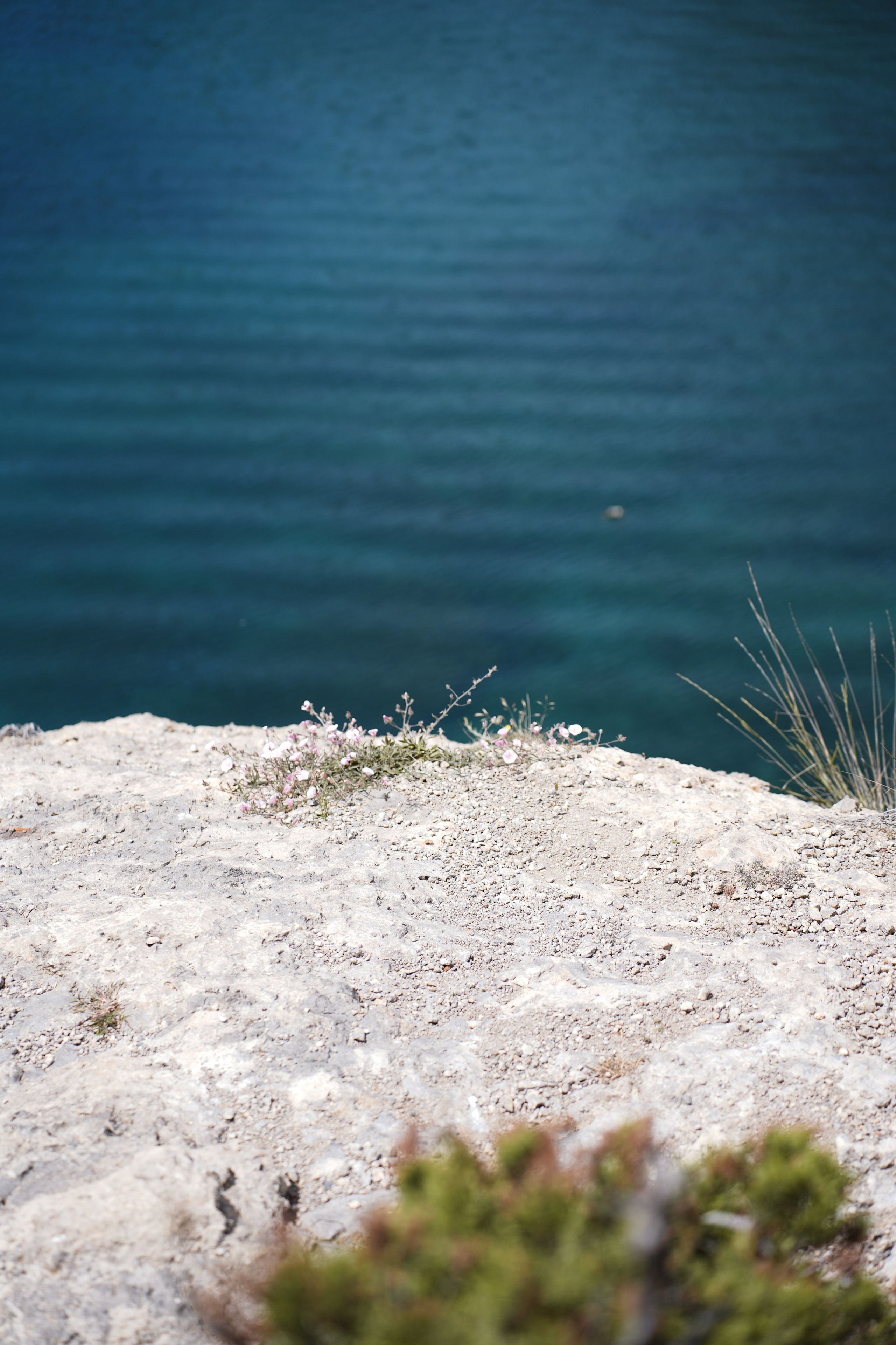 Крым. Анна Жукова — Режиссёр кино и цирка, сценарист, фотограф
