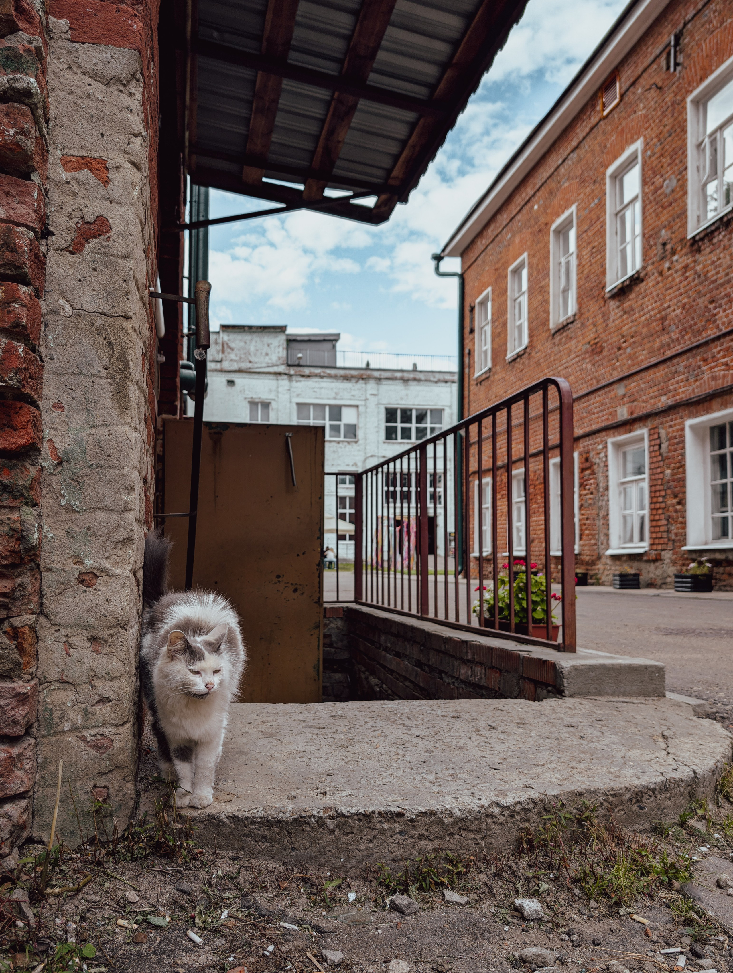 Прогулка по Коломне. Фотограф Виталий Сид: профессиональная фотосъемка, обучение и новости индустрии