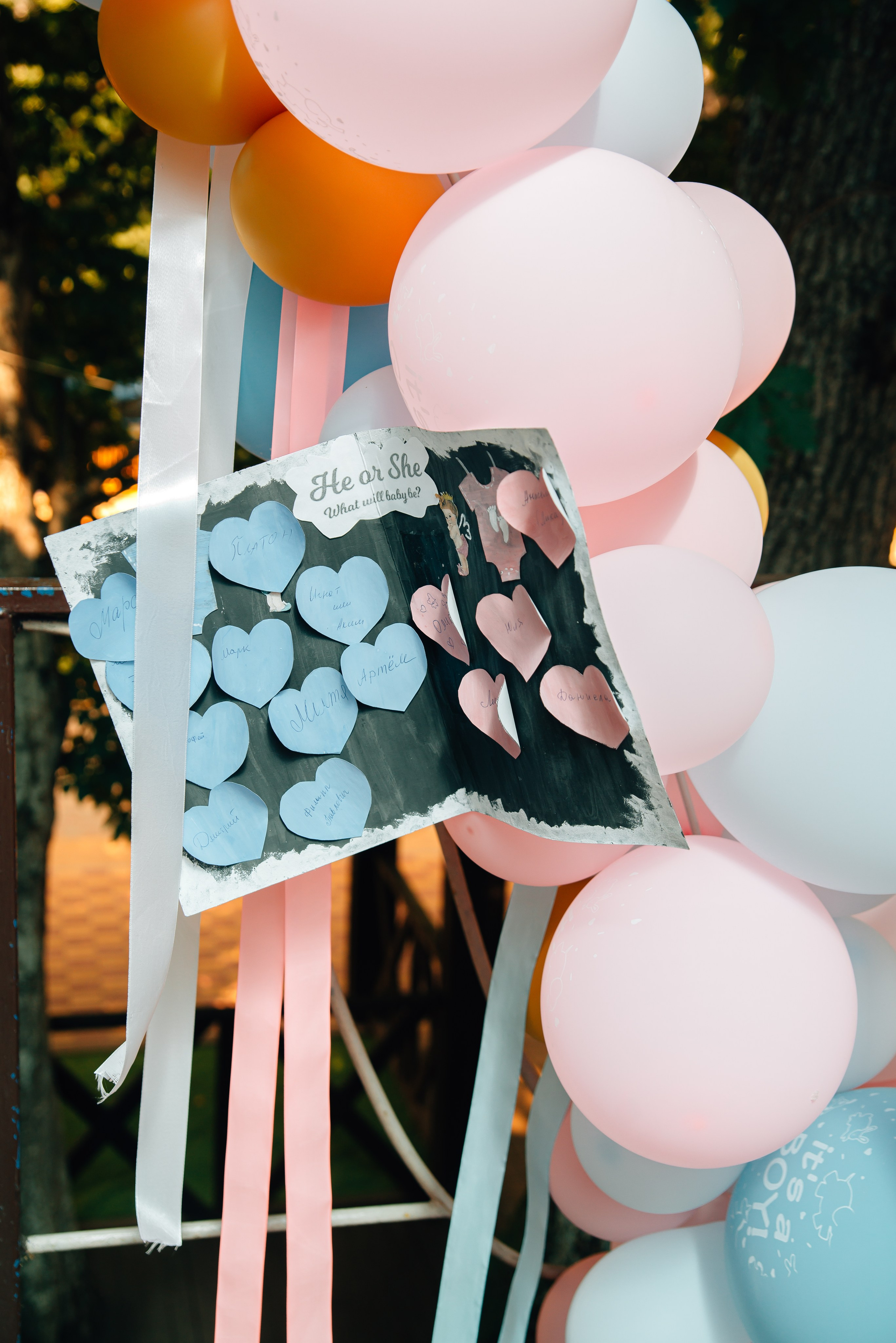 Гендер-Пати. Семейный фотограф в Ставрополе Кристина Сысоева