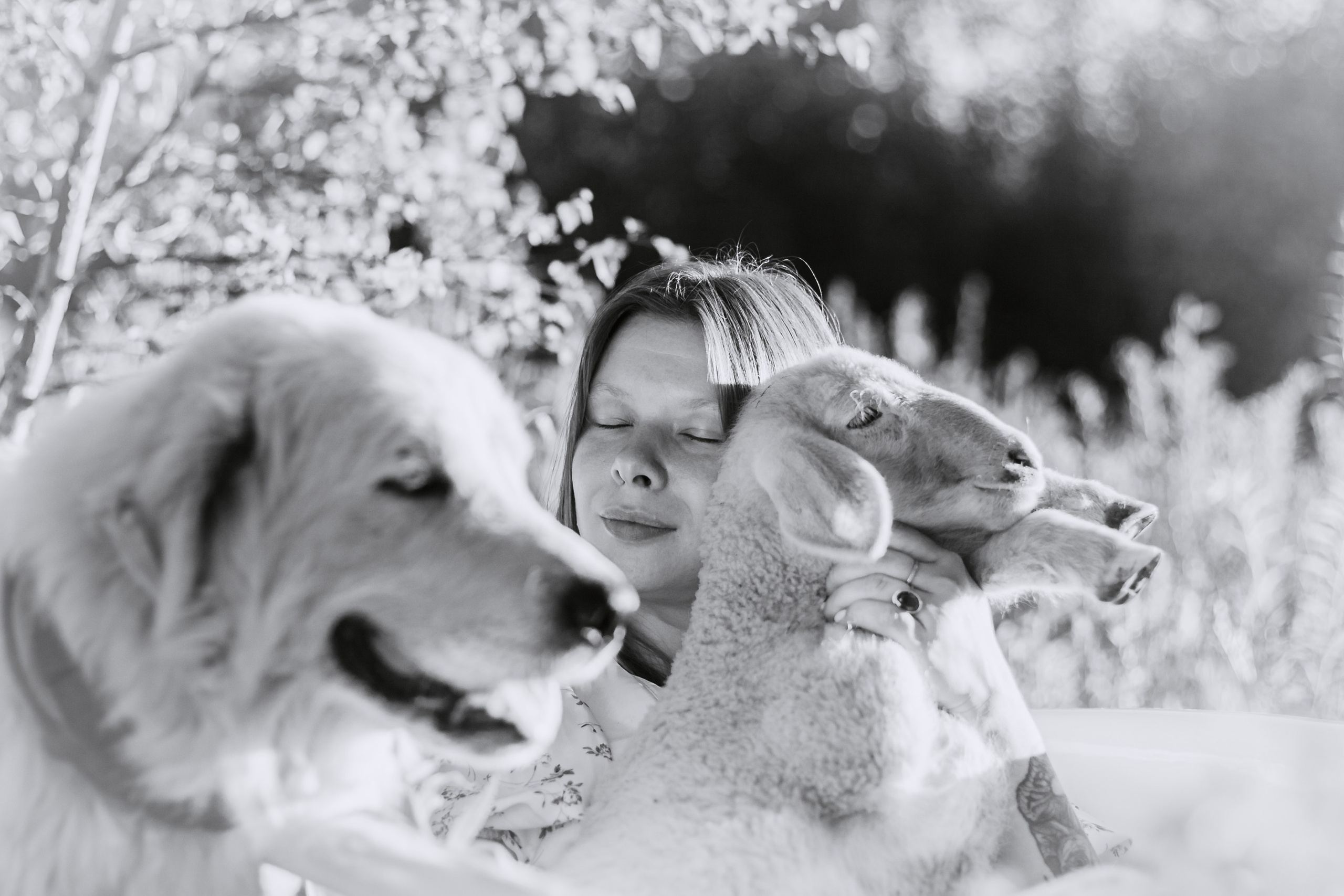 Ванна в поле. Фотограф-анималист Татьяна Степанова