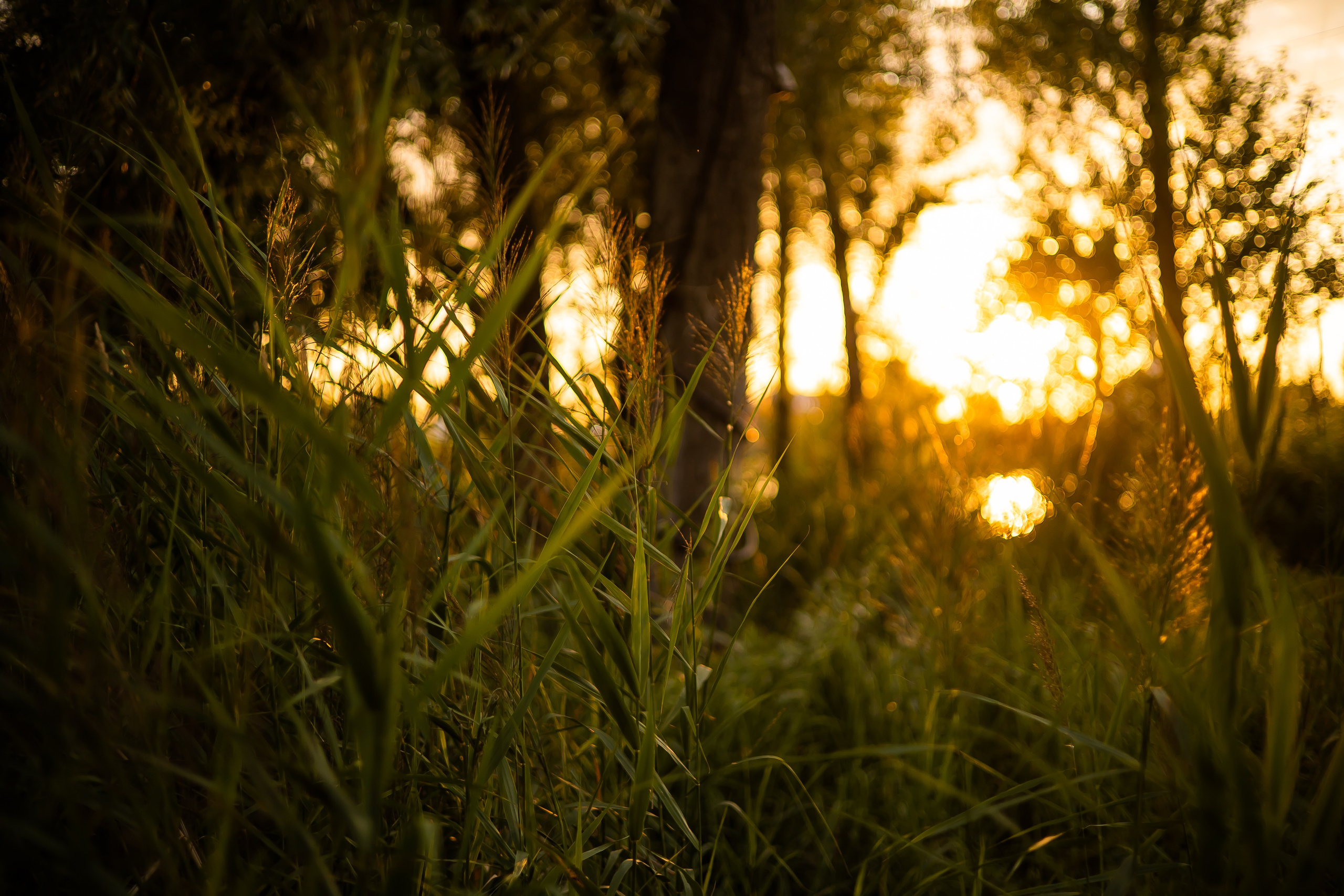 Айгуль+Лейла. Фотограф Элла Ефимова