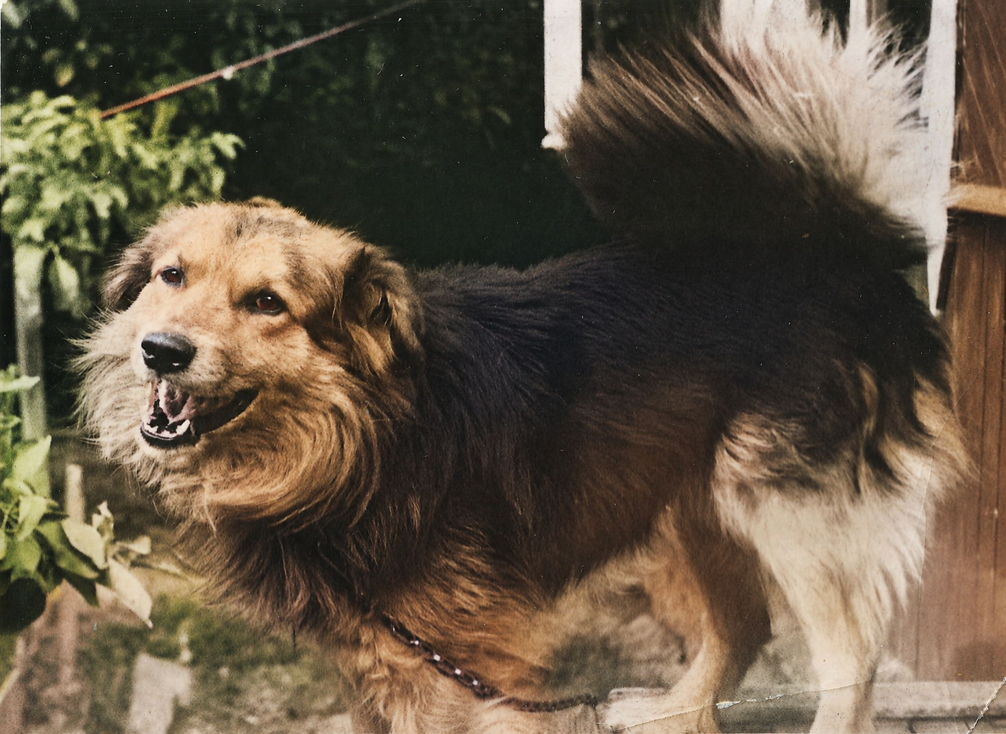 Покраска чёрно-белых фотографий. TOXASNIP Photo | Антон Маслёнкин