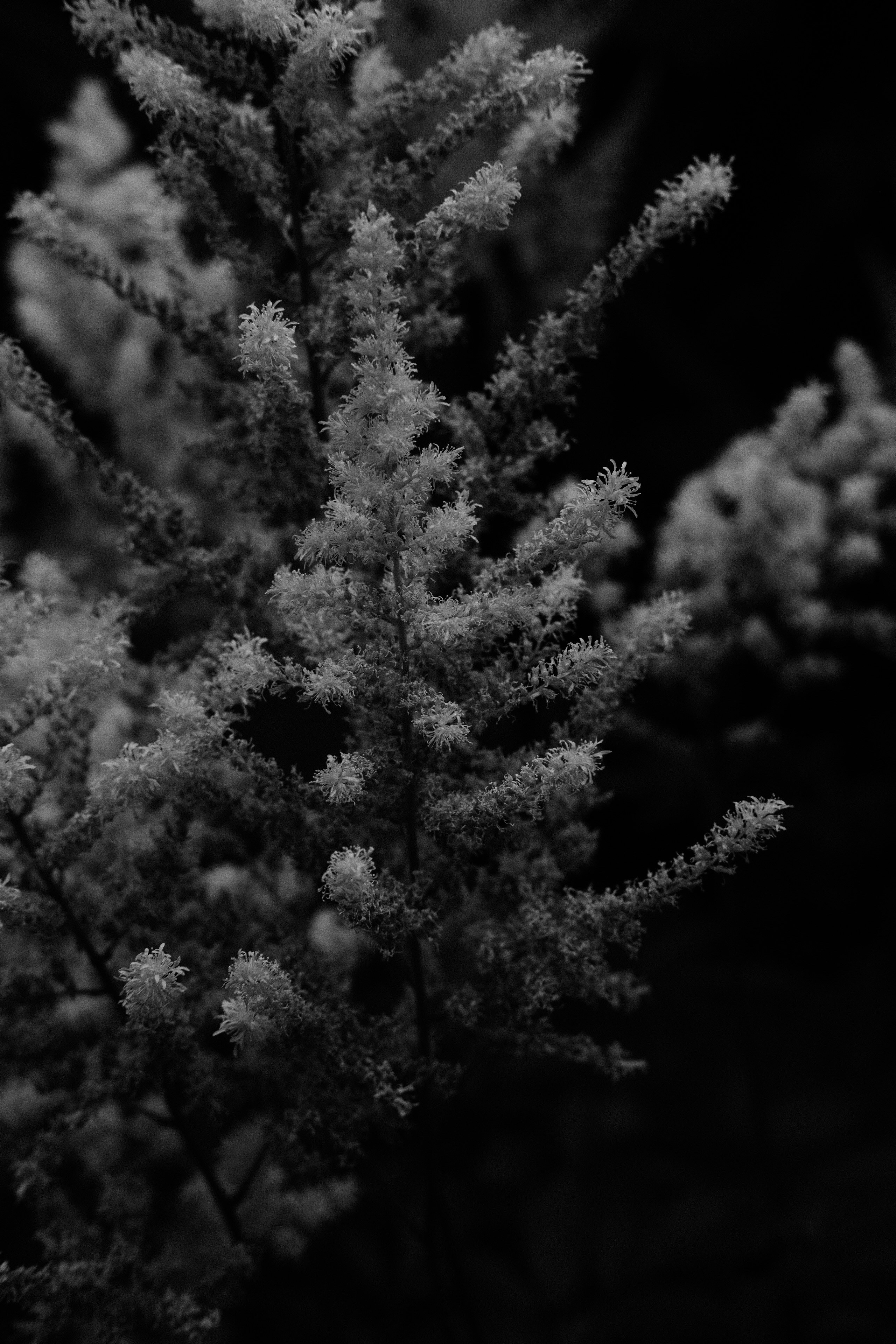 Природа. Фотограф Маргана Лоция