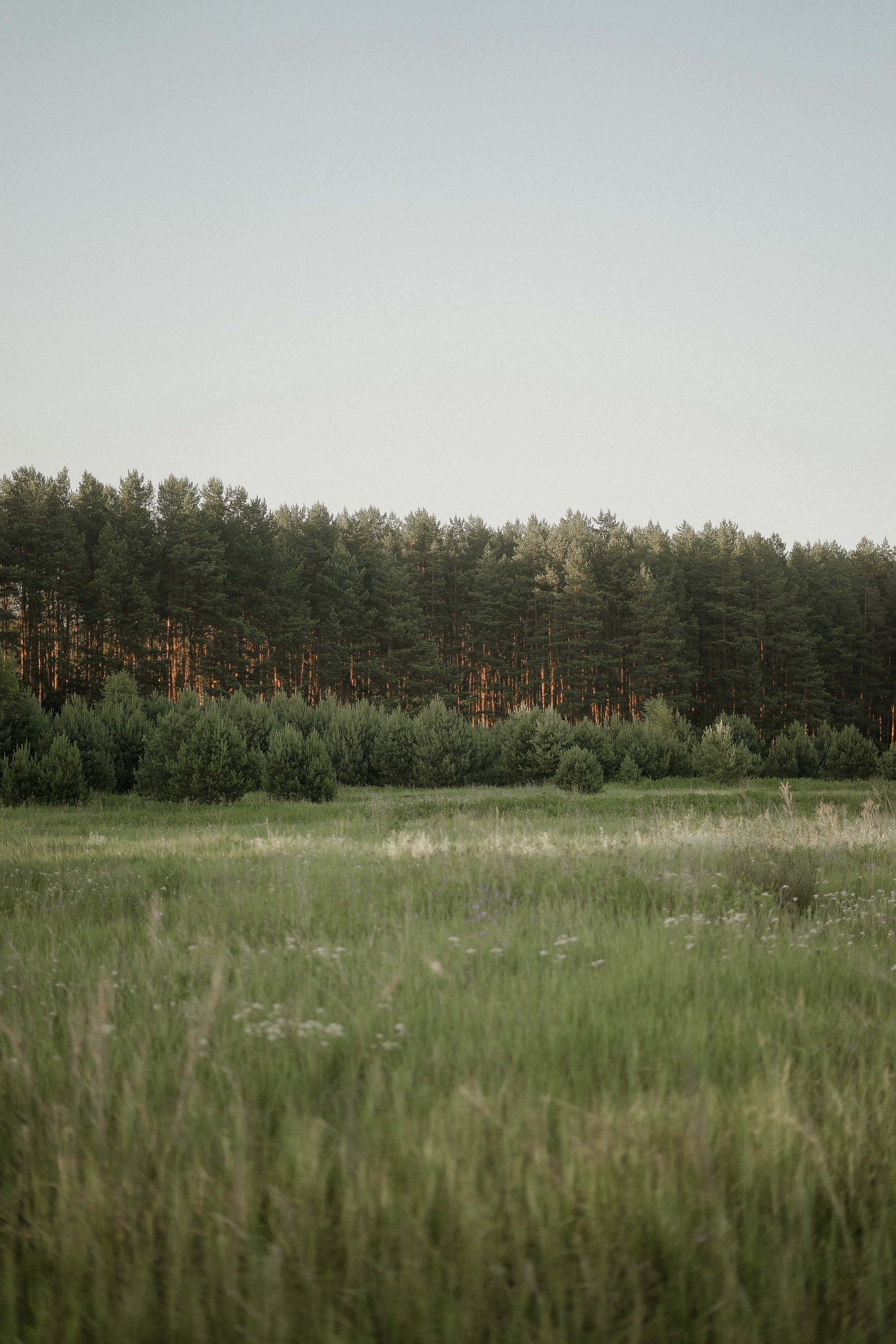 Мила и Тарас. Свадебный фотограф Марина Попова