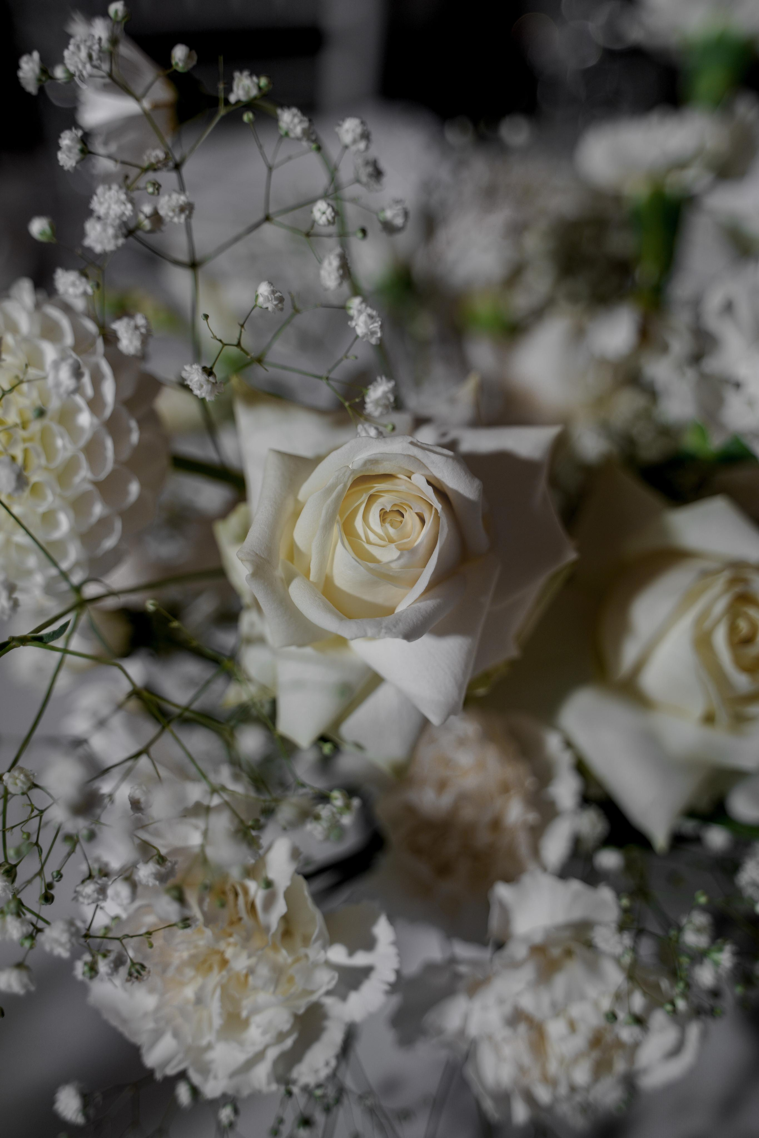 Екатерина и Даниил. Ресторан «Basilica». Свадебный фотограф Марина Попова