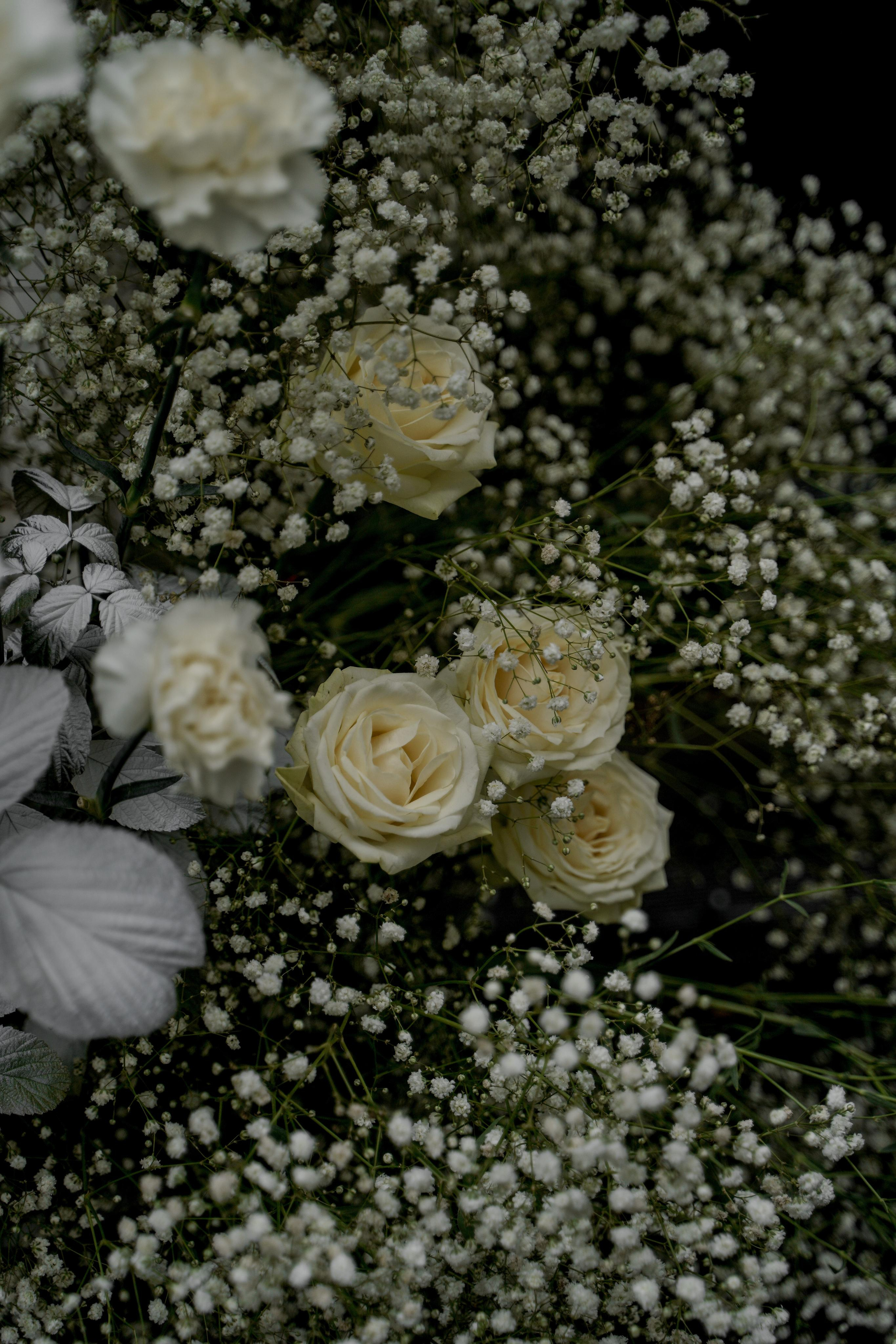 Екатерина и Даниил. Ресторан «Basilica». Свадебный фотограф Марина Попова