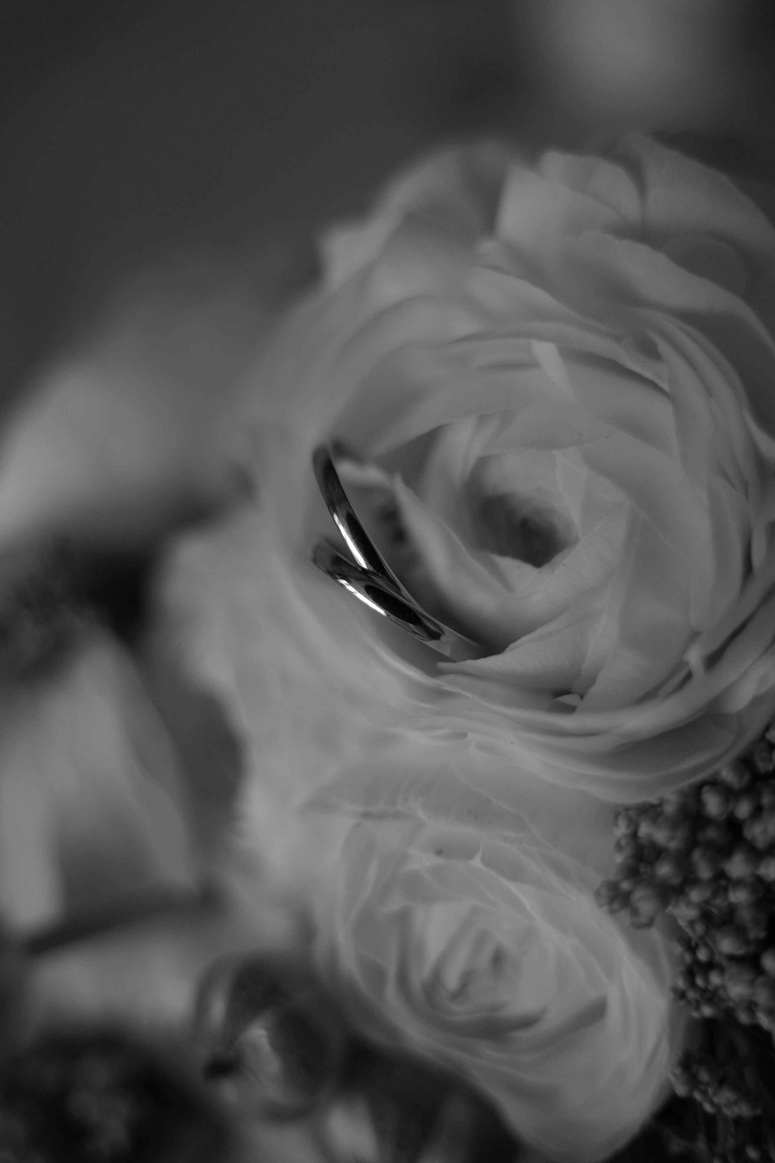 Елизавета и Михаил. Свадебный фотограф Марина Попова