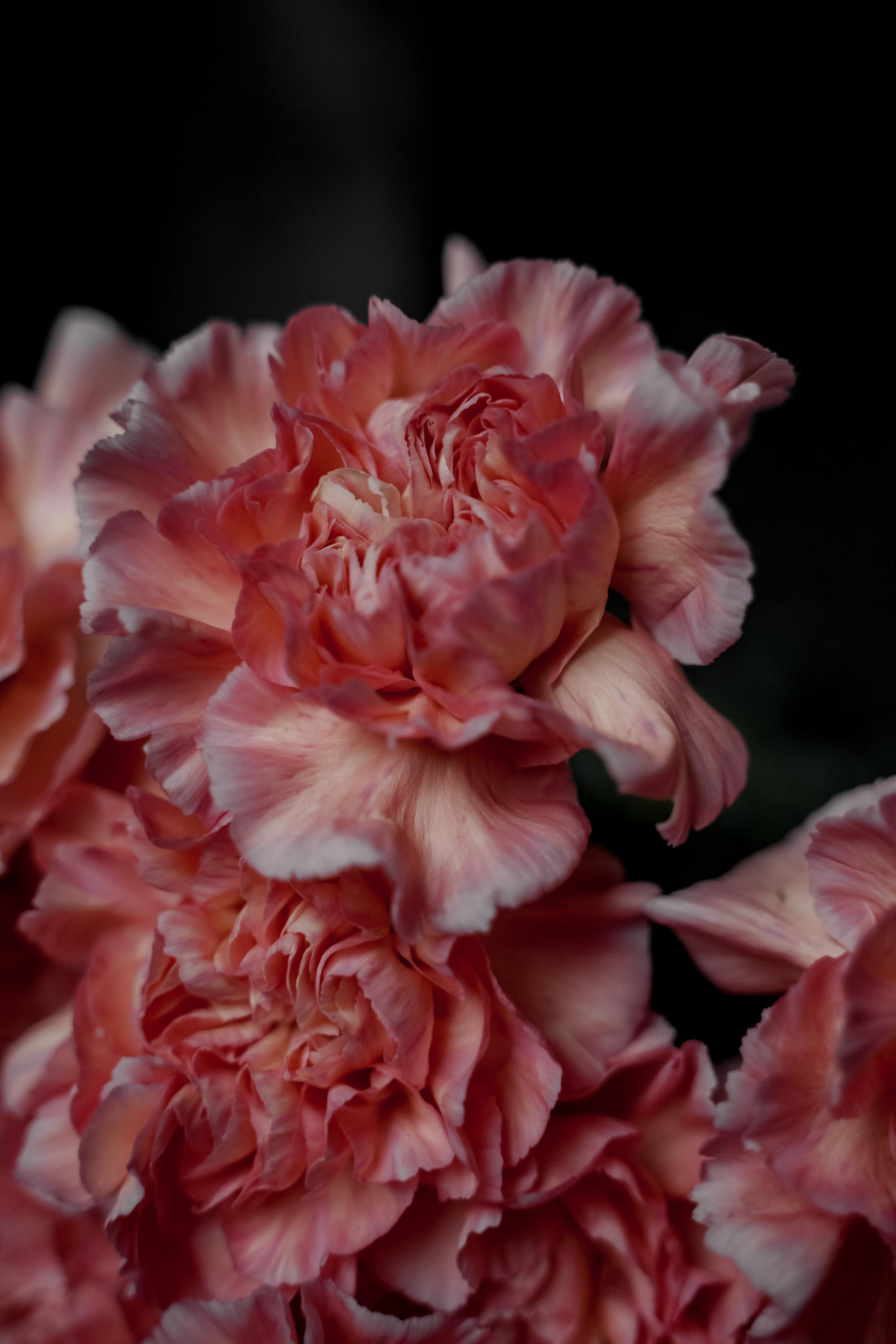 Анастасия и Никита. Свадебный фотограф Марина Попова