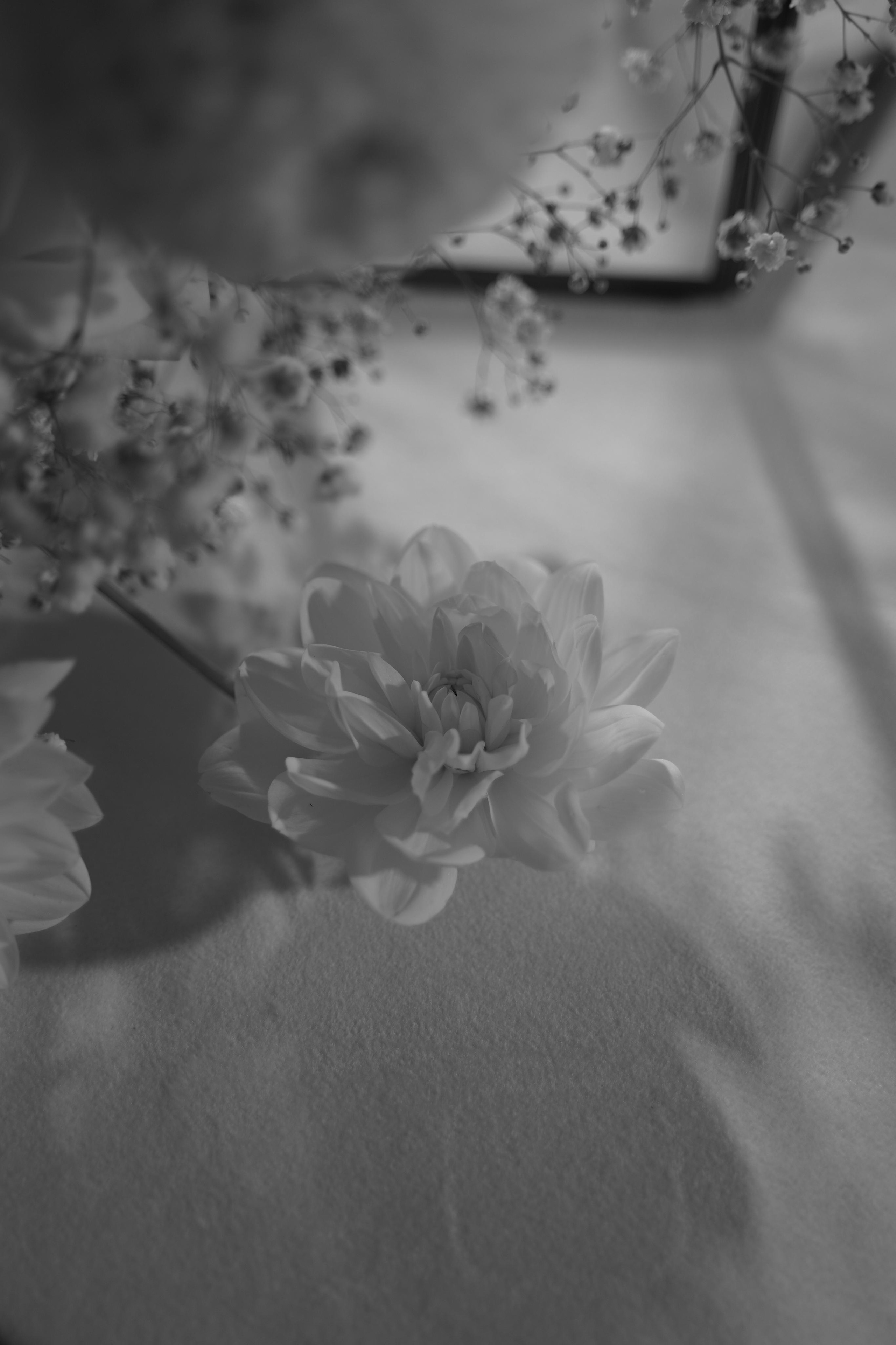 Екатерина и Даниил. Ресторан «Basilica». Свадебный фотограф Марина Попова