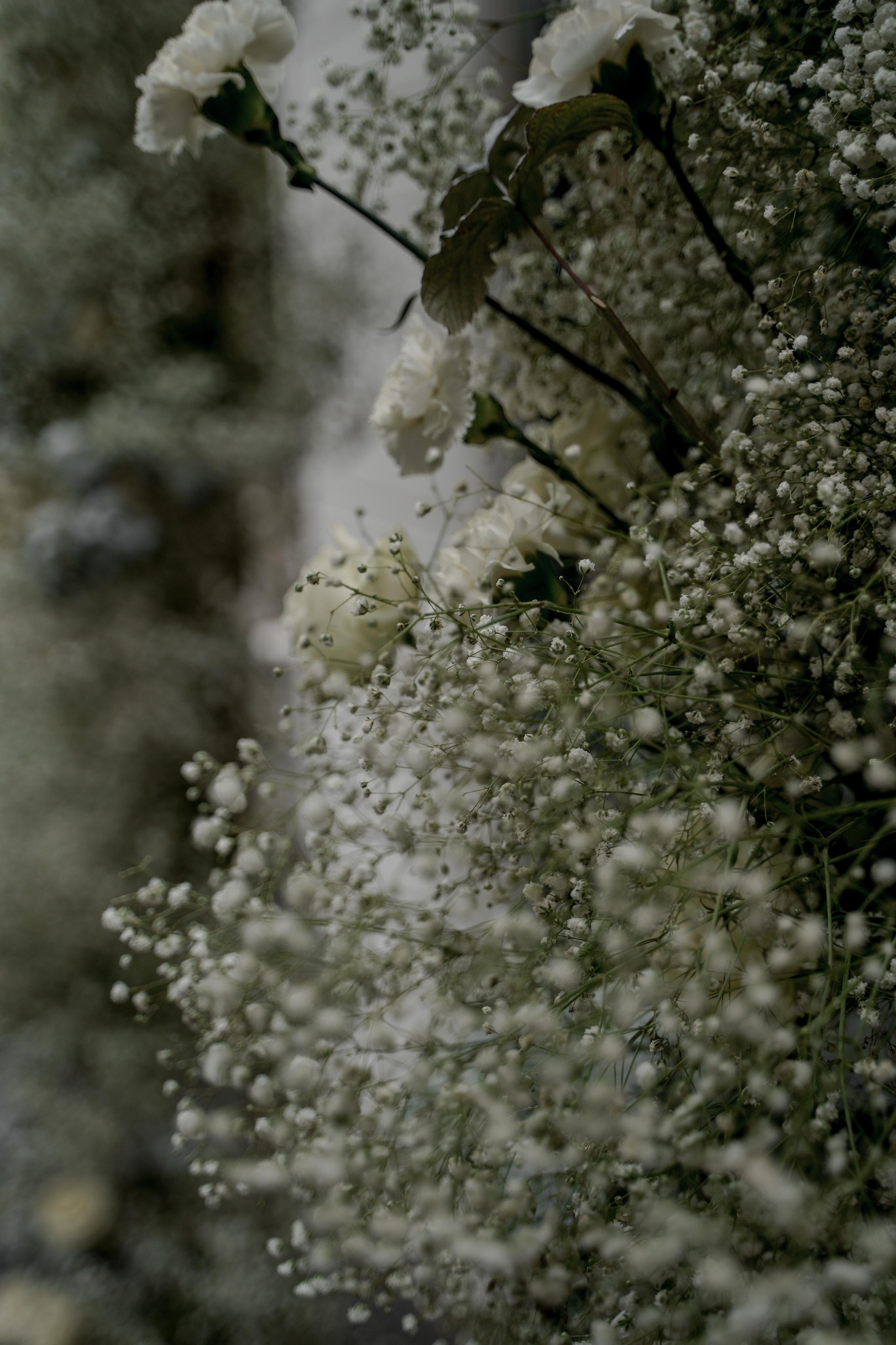 Екатерина и Даниил. Ресторан «Basilica». Свадебный фотограф Марина Попова