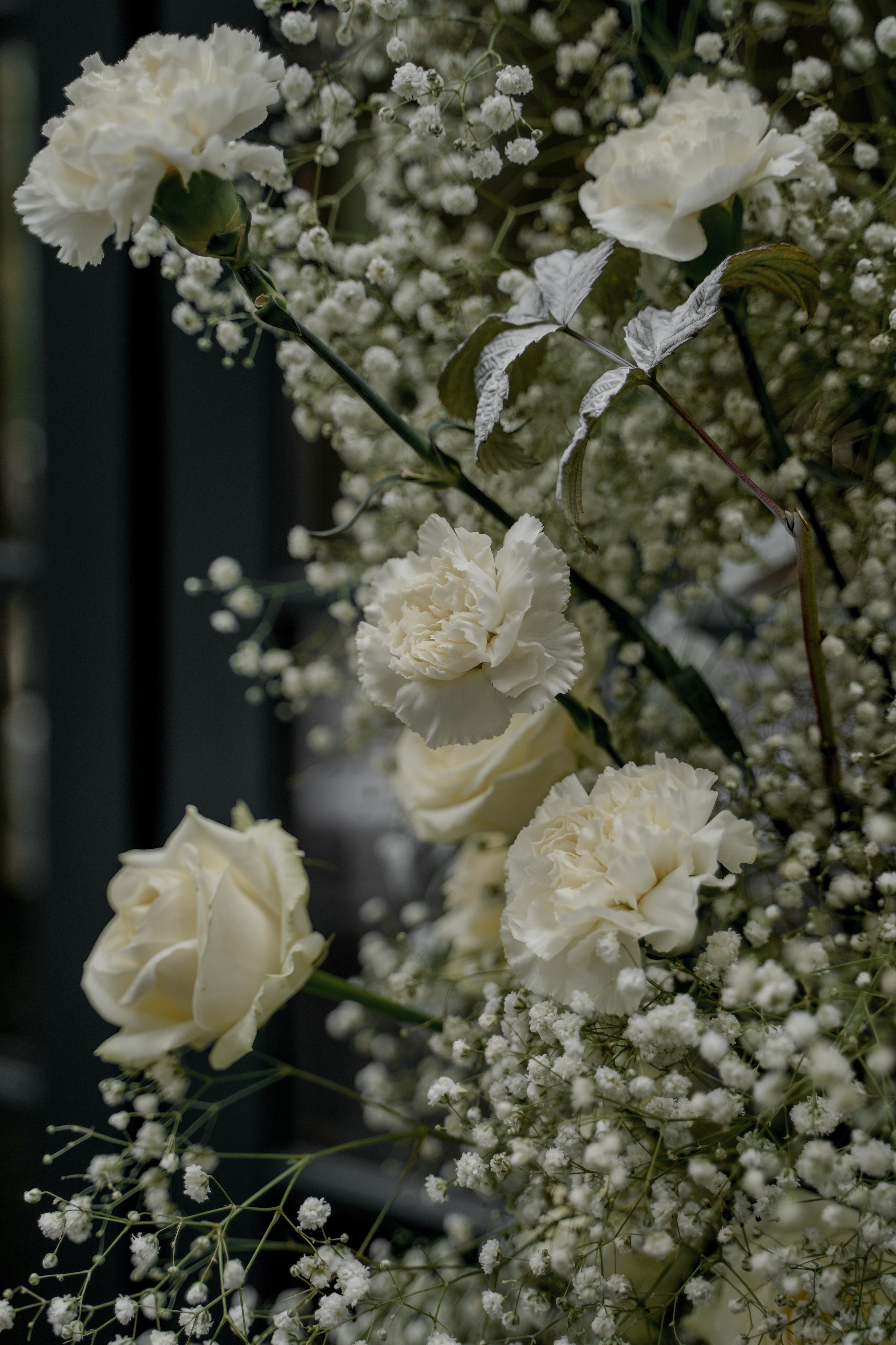 Екатерина и Даниил. Ресторан «Basilica». Свадебный фотограф Марина Попова