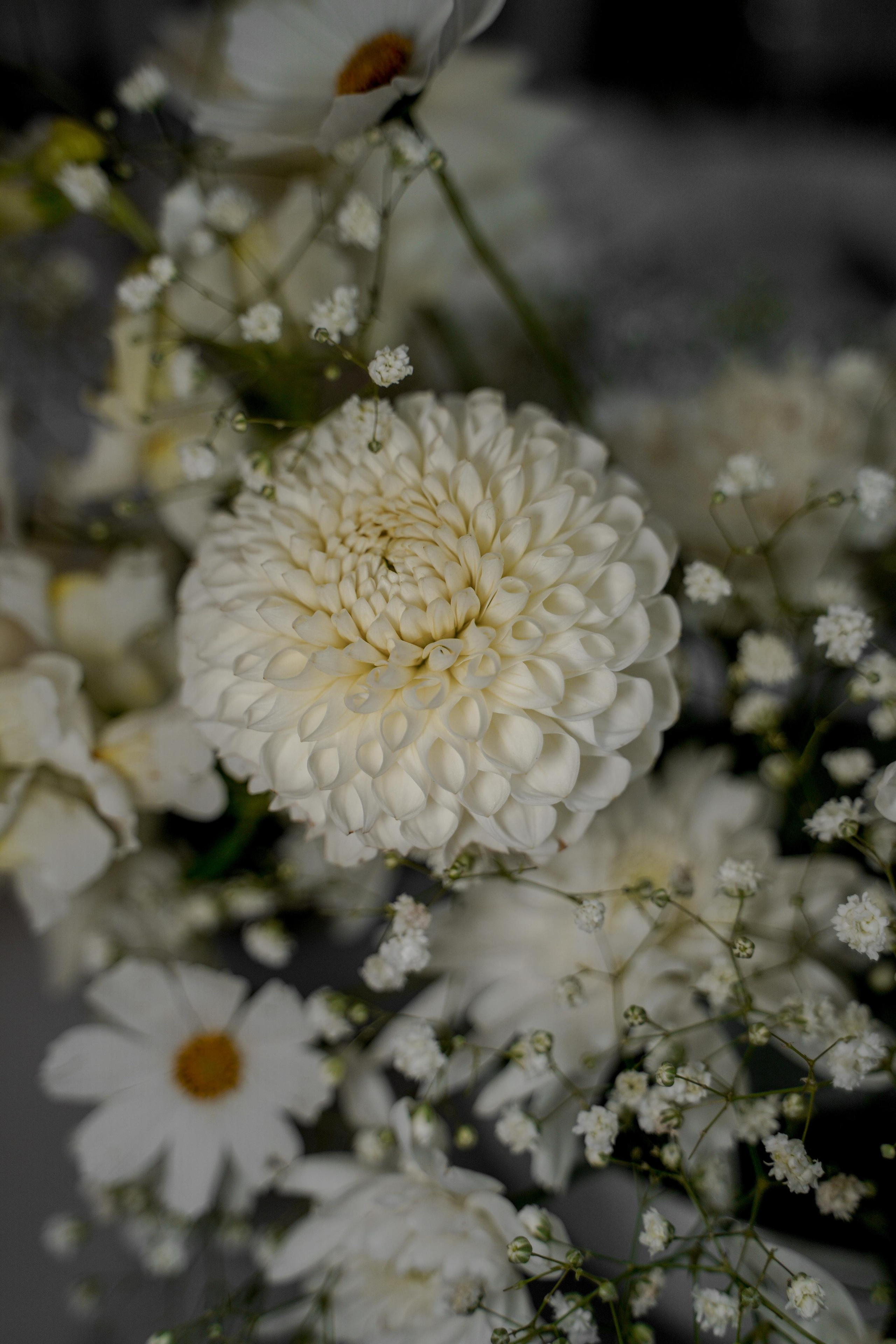 Екатерина и Даниил. Ресторан «Basilica». Свадебный фотограф Марина Попова