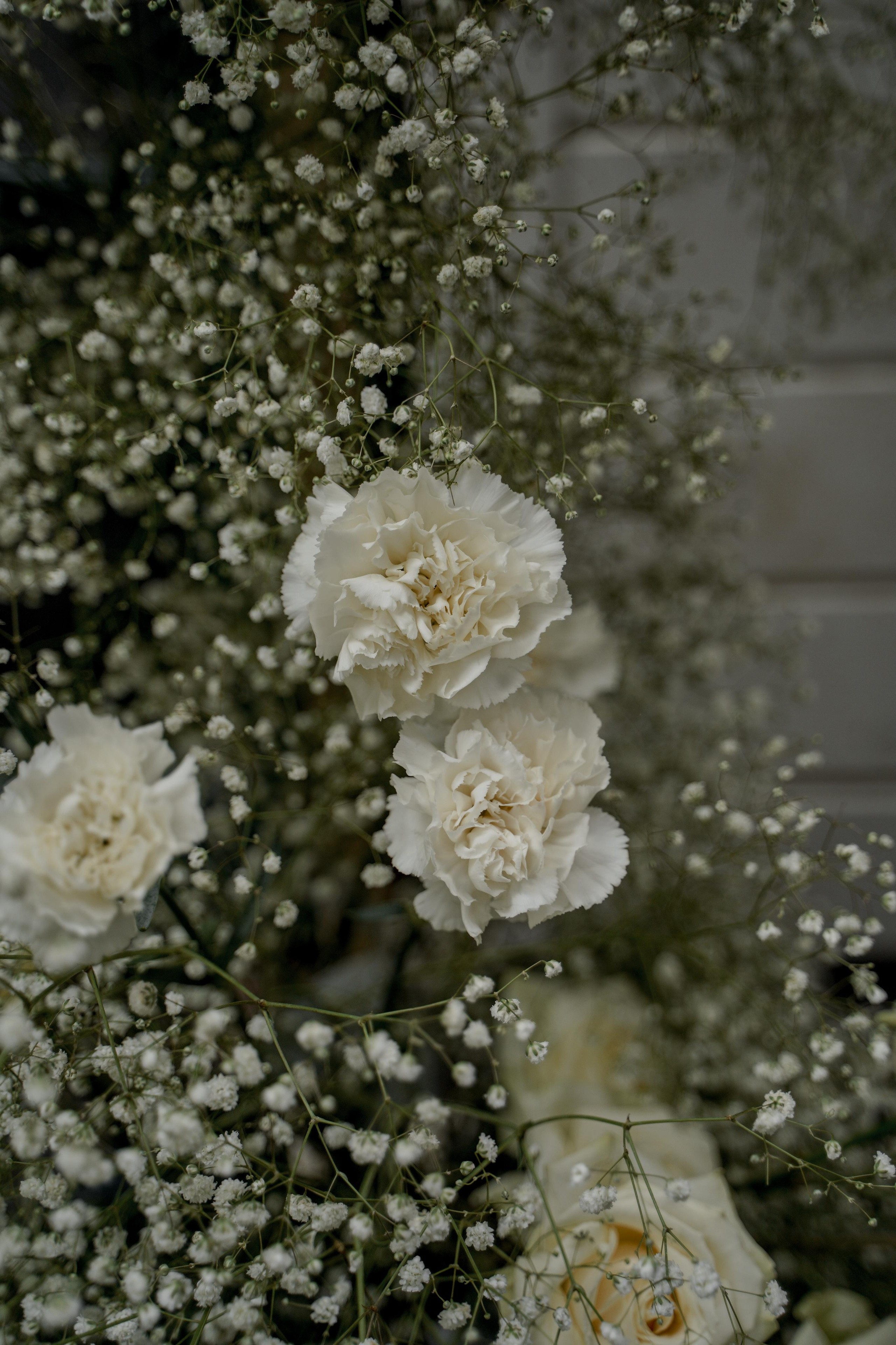 Екатерина и Даниил. Ресторан «Basilica». Свадебный фотограф Марина Попова