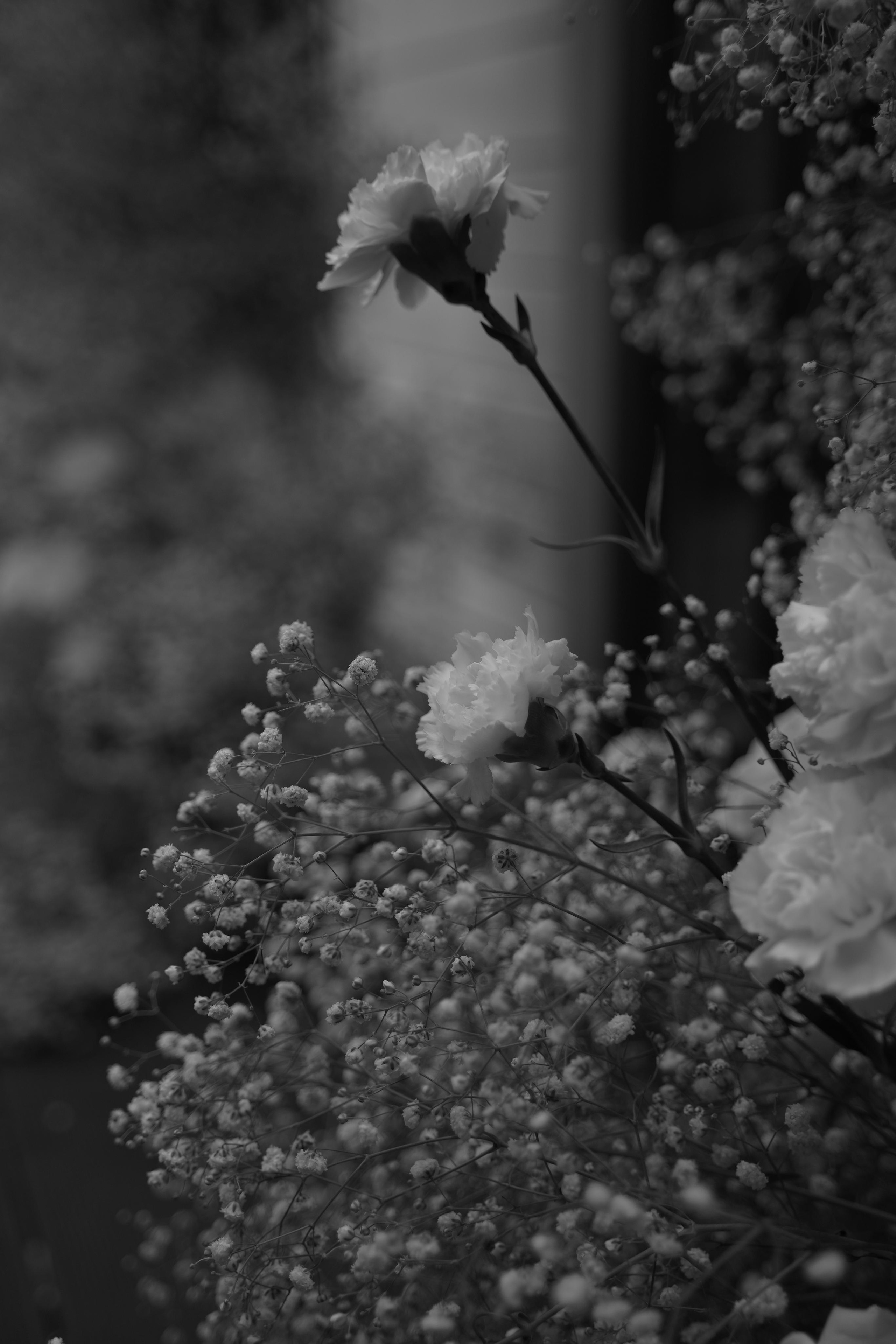 Екатерина и Даниил. Ресторан «Basilica». Свадебный фотограф Марина Попова