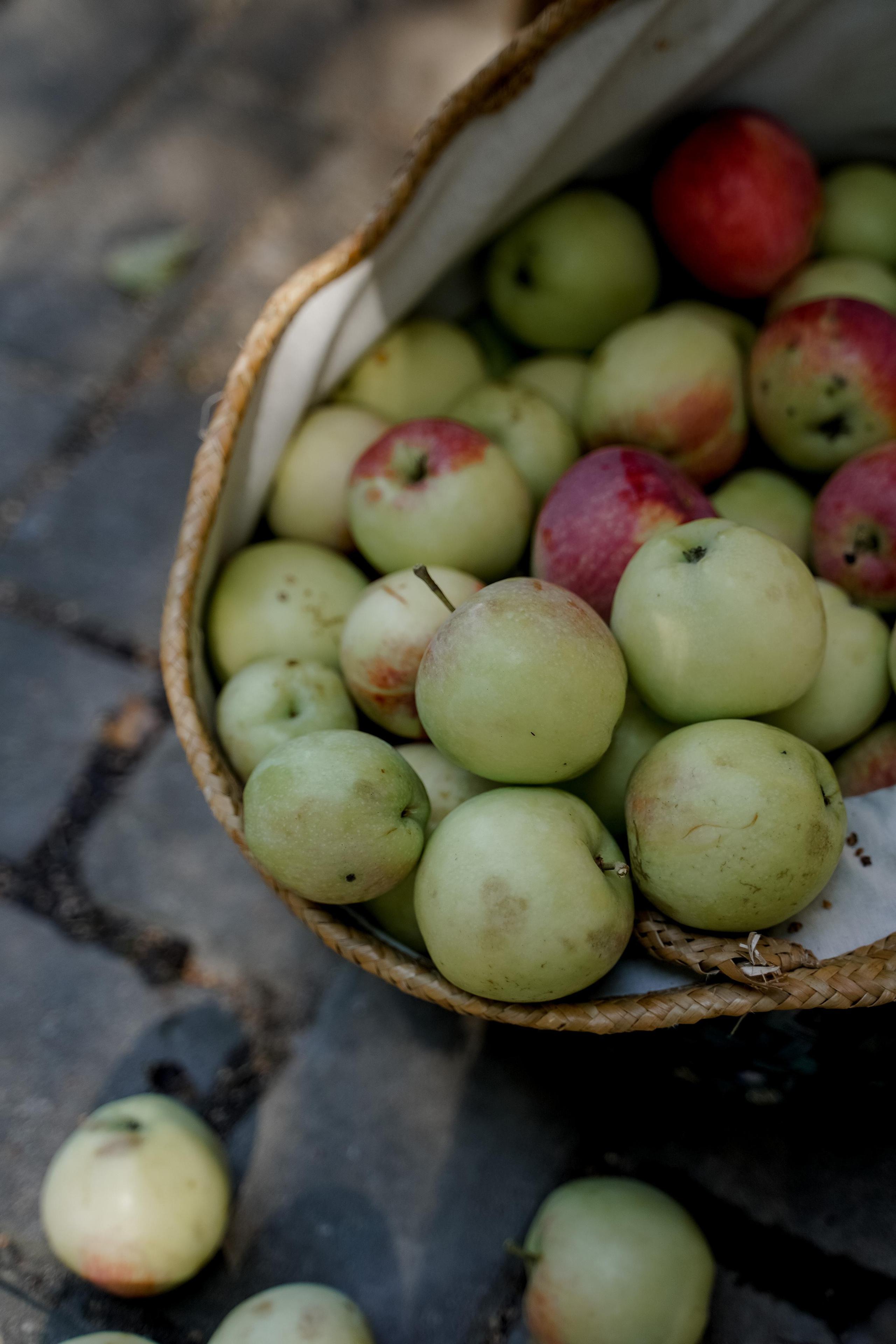 Инесса и Илья. Italy. Свадебный фотограф Марина Попова