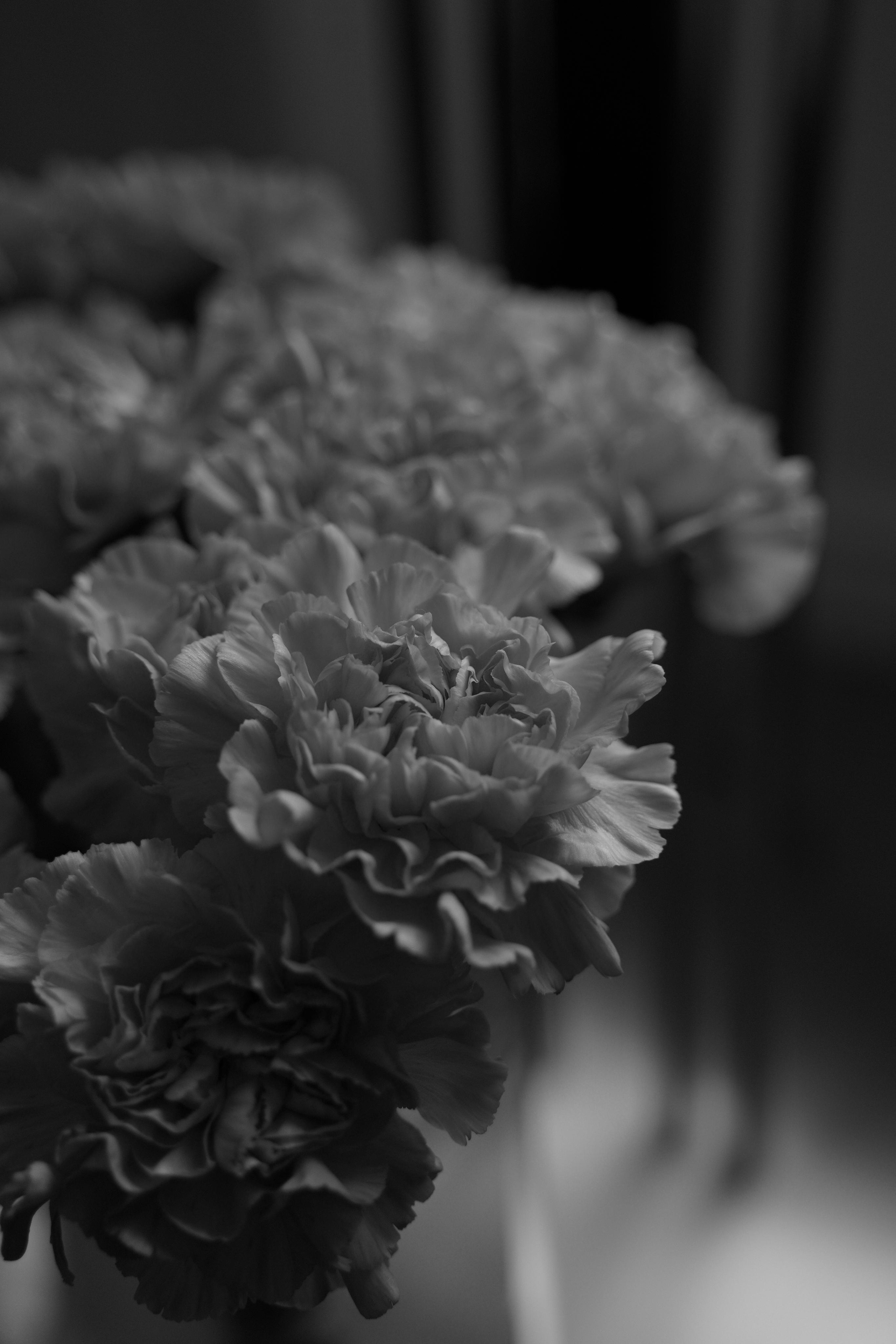 Анастасия и Никита. Свадебный фотограф Марина Попова